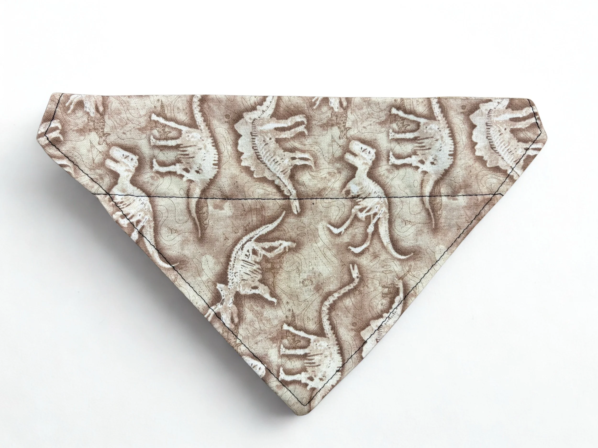 Dinosaur Fossils