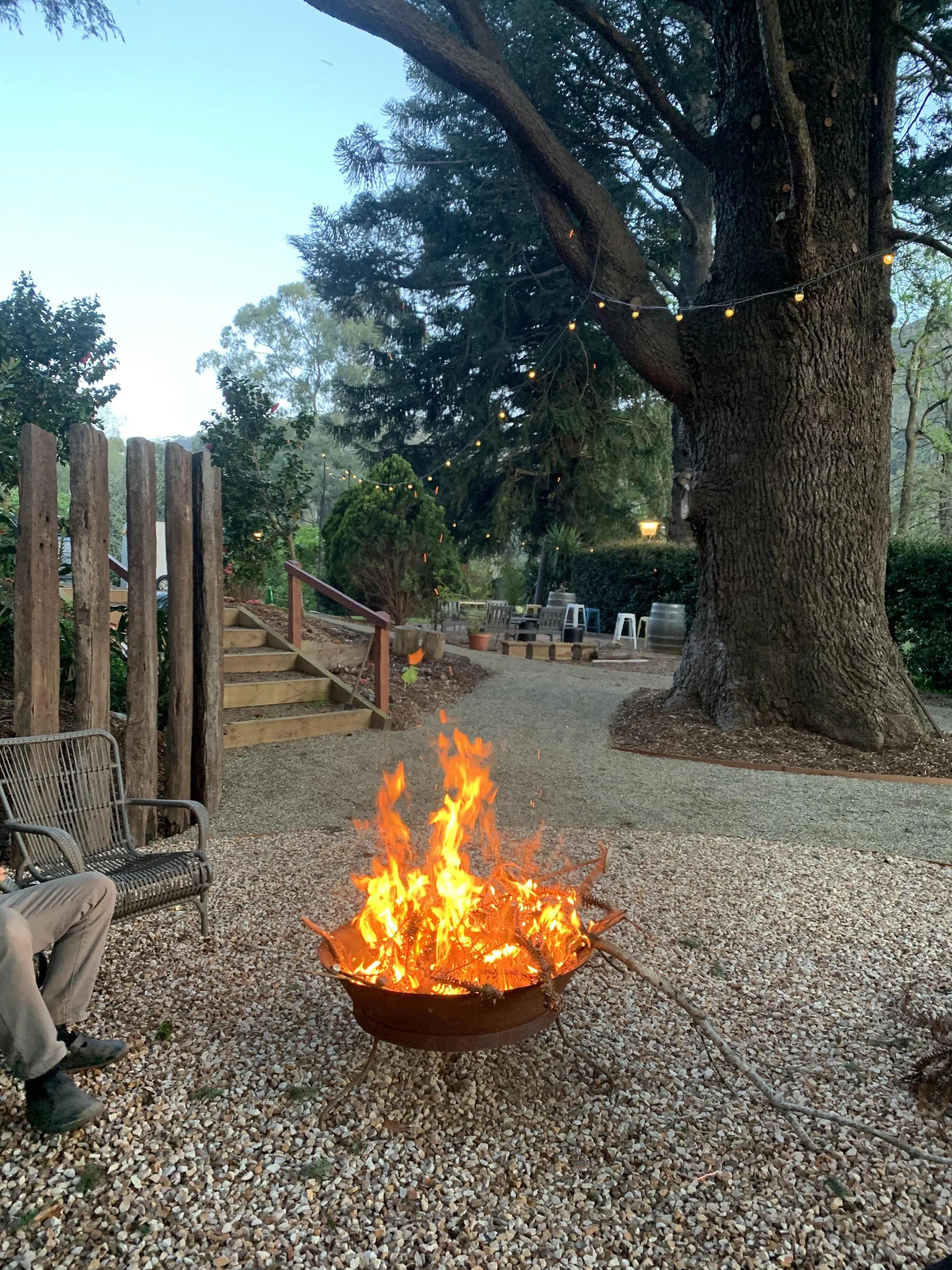 A backyard scene at dusk with a small fire in a fire pit, outdoor chairs, and string lights hanging from a large tree, surrounded by greenery and a gravel ground.