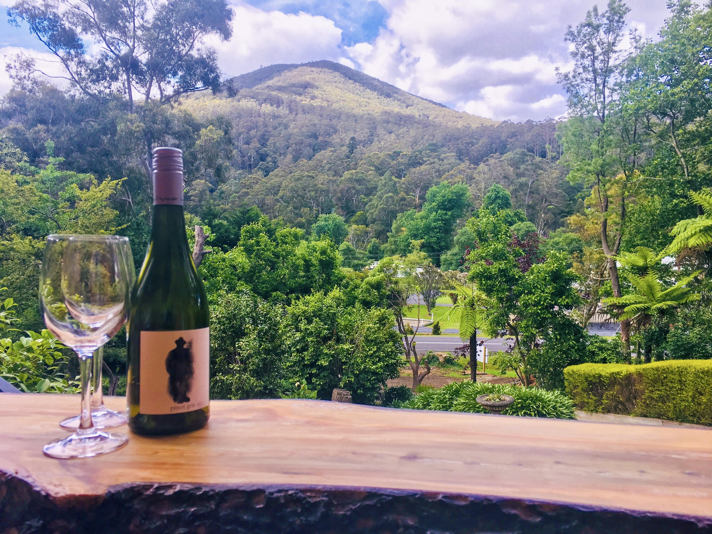 A bottle of wine and an empty wine glass are placed on a wooden table in the foreground. In the background, there is lush green foliage, trees, and a mountain under a partly cloudy sky.