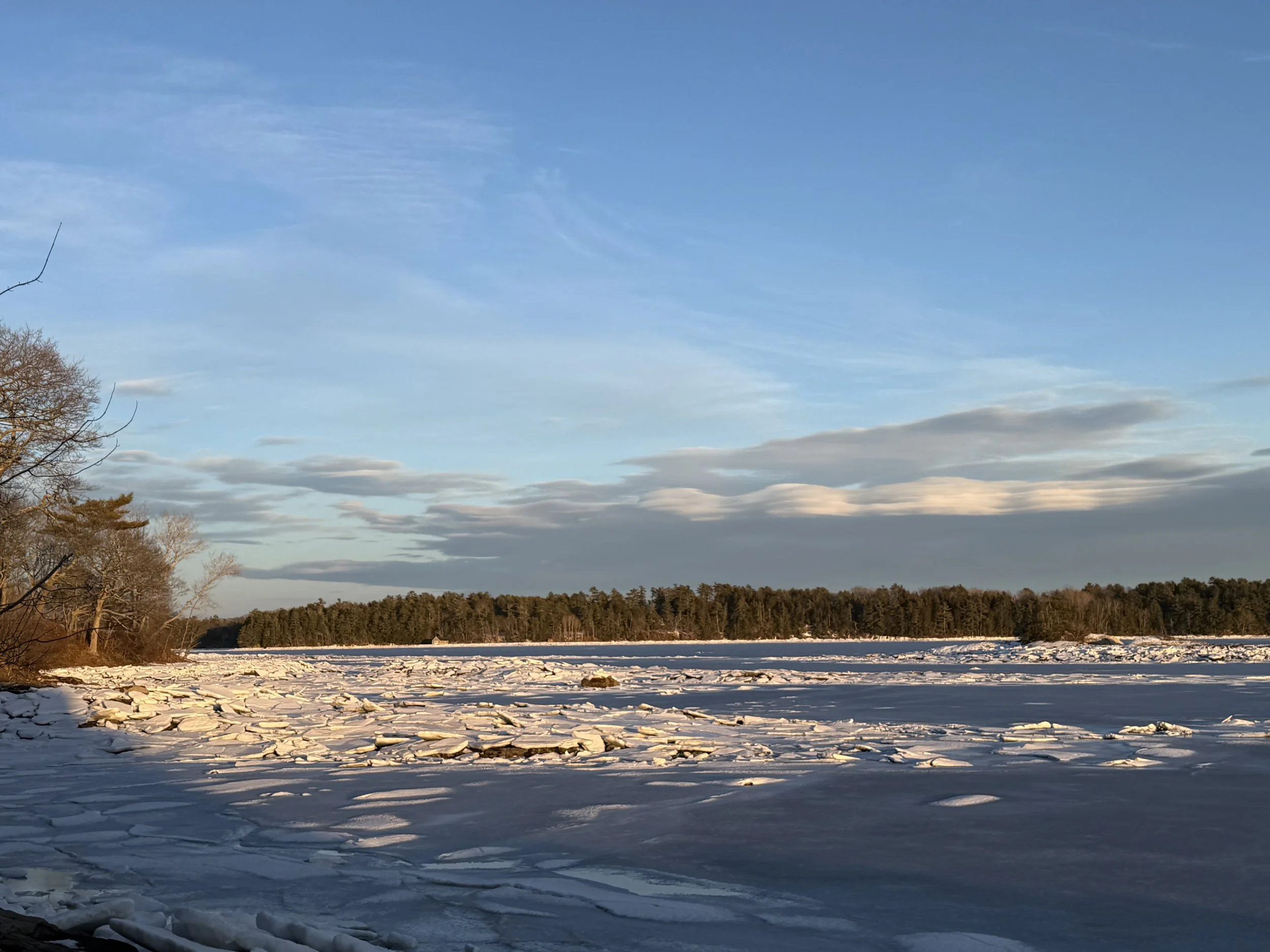 Current Use, Future Options