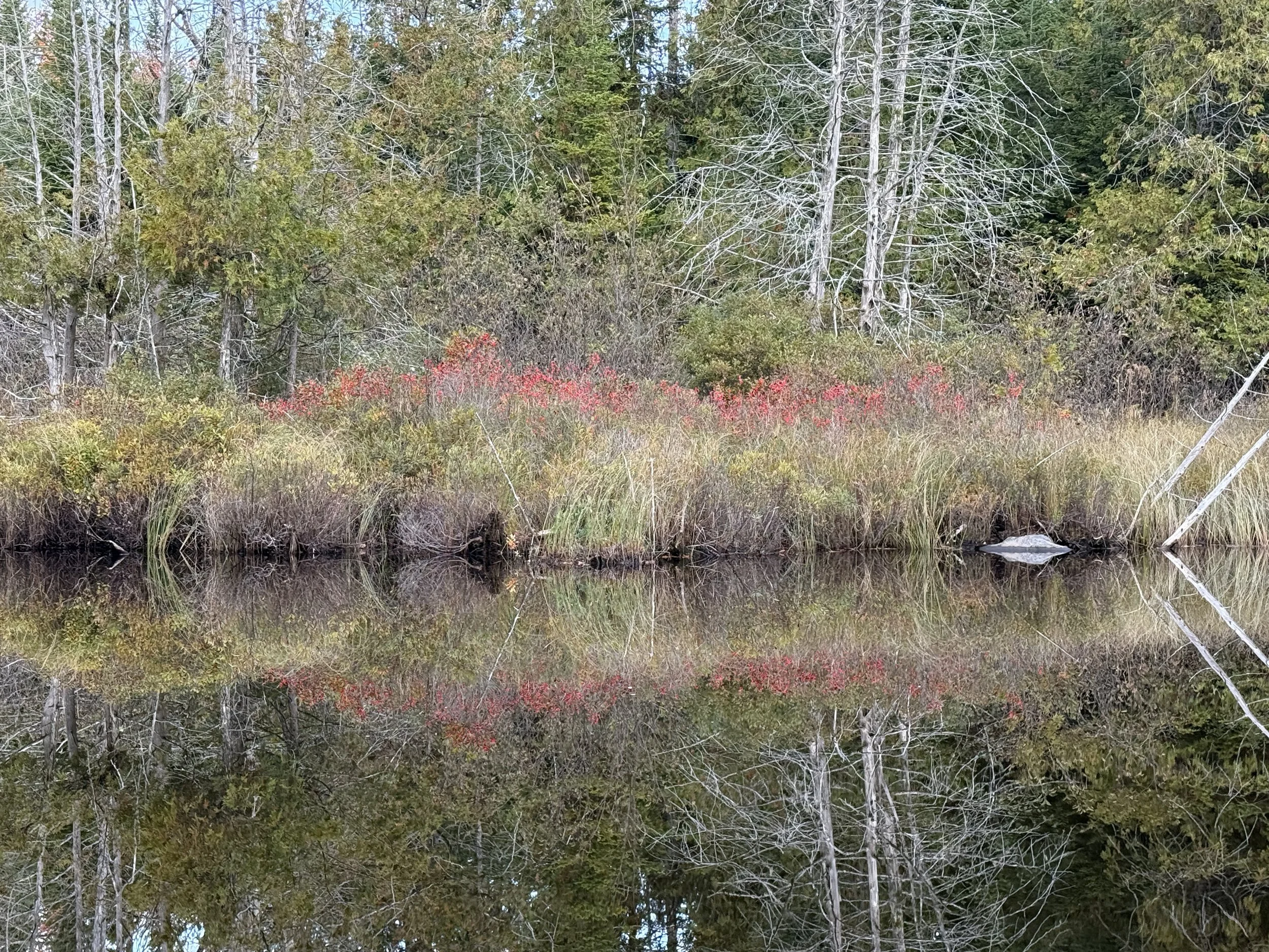 Will an Easement Open My Land to the Public?