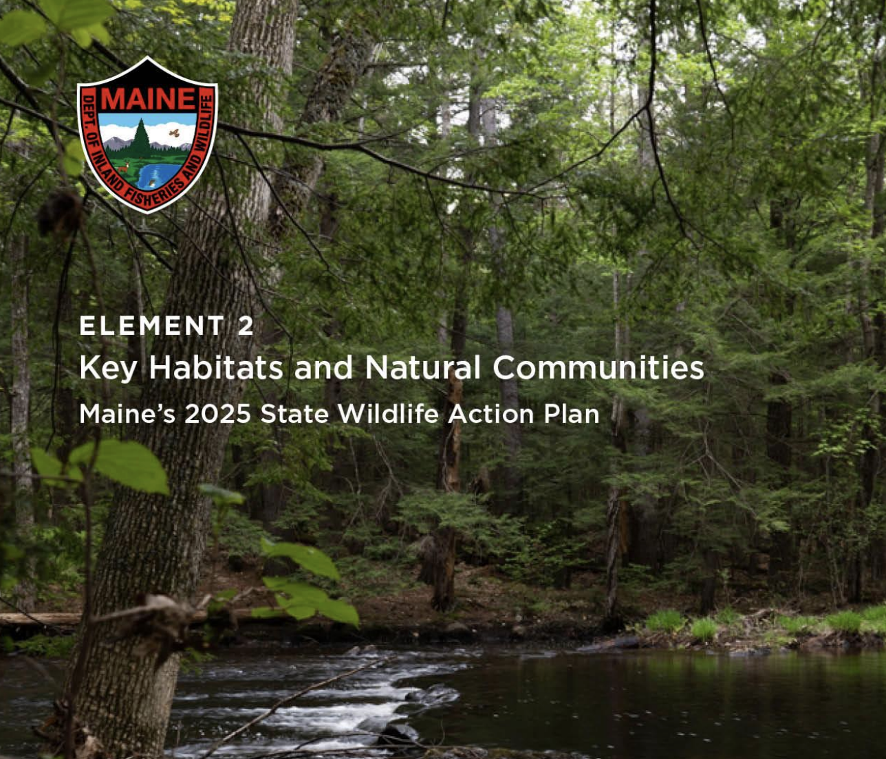 Maine’s New State Wildlife Action Plan >&nbsp; Your Land