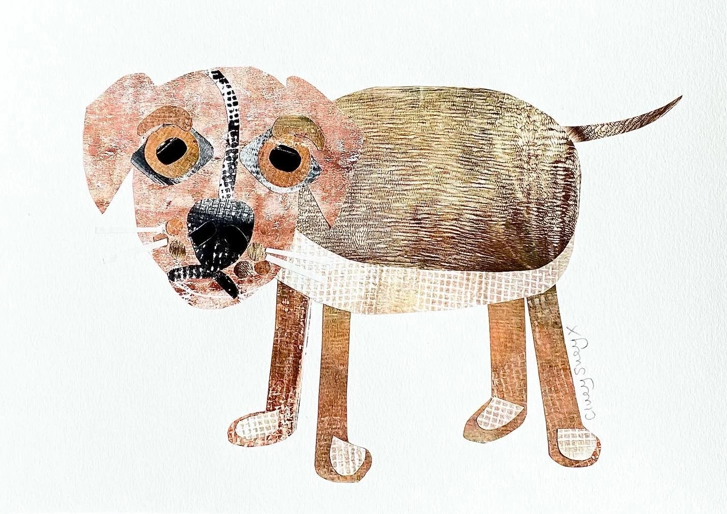 Our Street Dog Called 'Poochie'