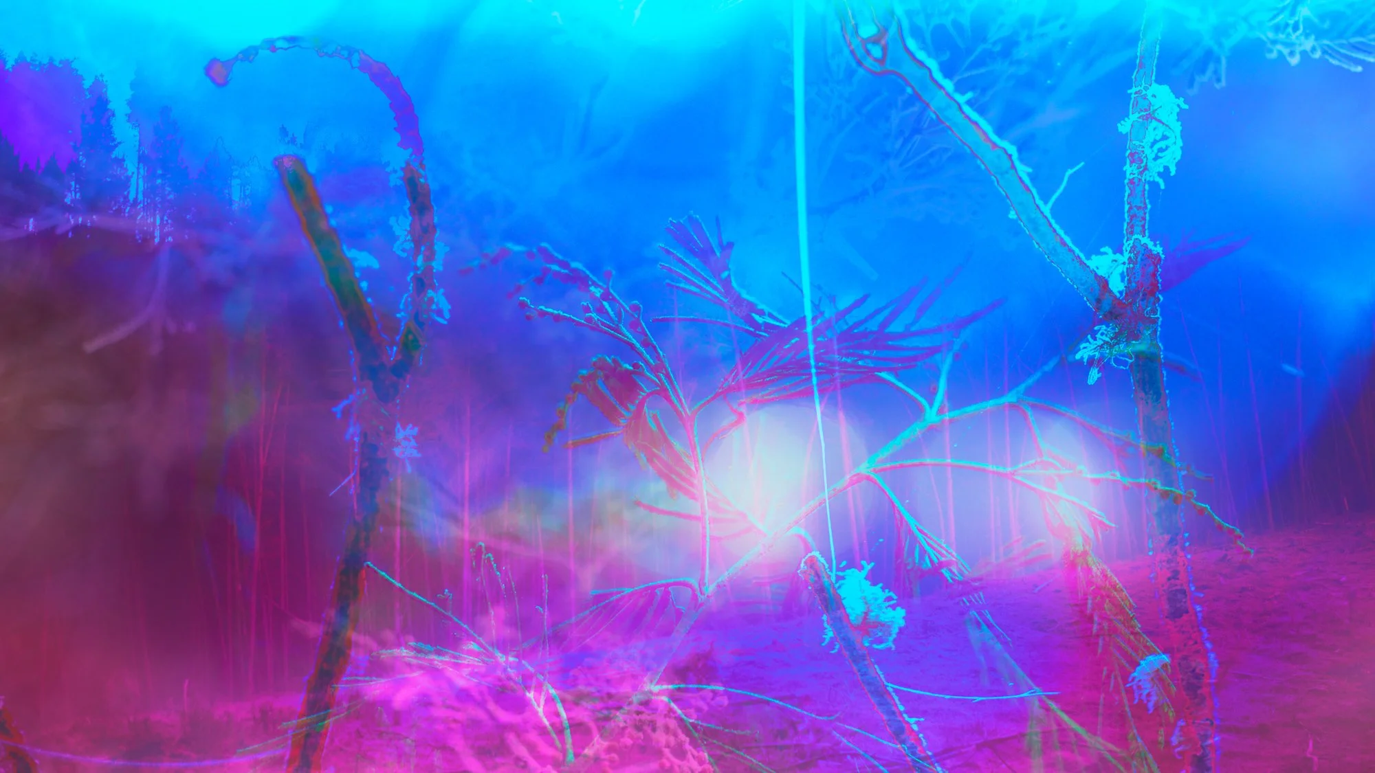 019-The Way Forward Is Back-Gloam.jpg