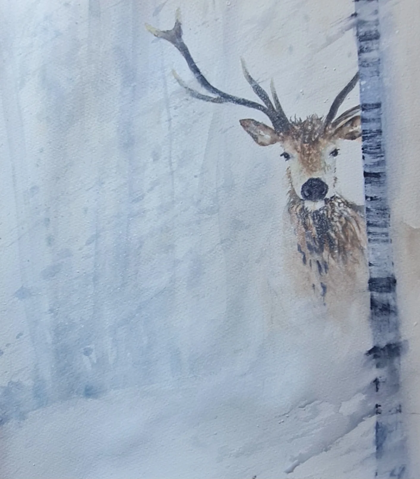 Deer in Snow