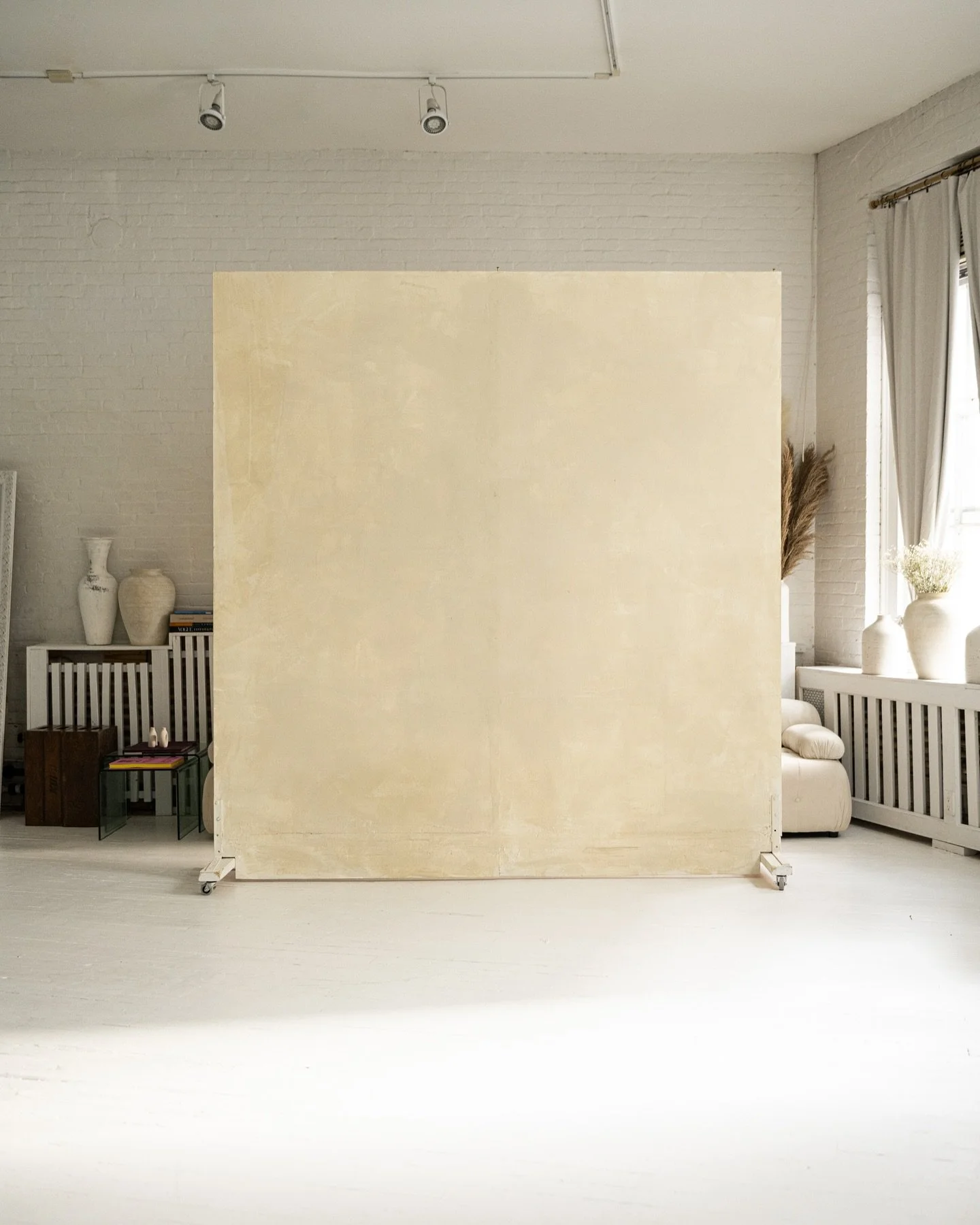 Lime-washed mobile wall. One day when we grow up, I&rsquo;m going to limewash everything in the house, starting with the toilet. 🚽

#mobilewall #studio #nycstudio #nycphotography #nycphotographer #nycphotographer #cycwallnyc