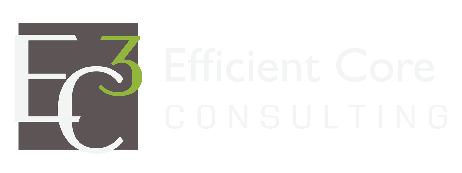 EFFICIENT CORE CONSULTING