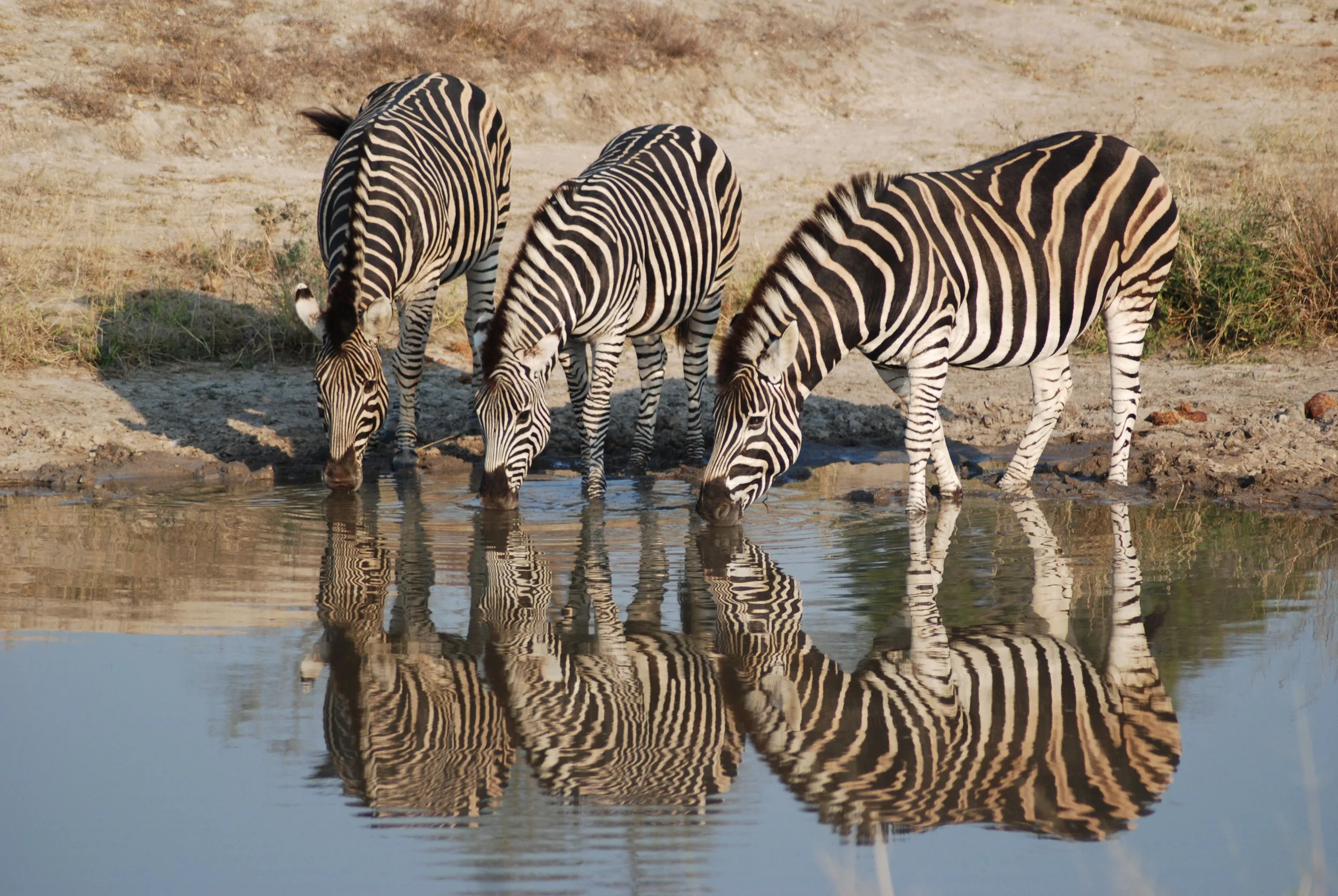 20100806 Arathusa Girls Weekend 301.jpg
