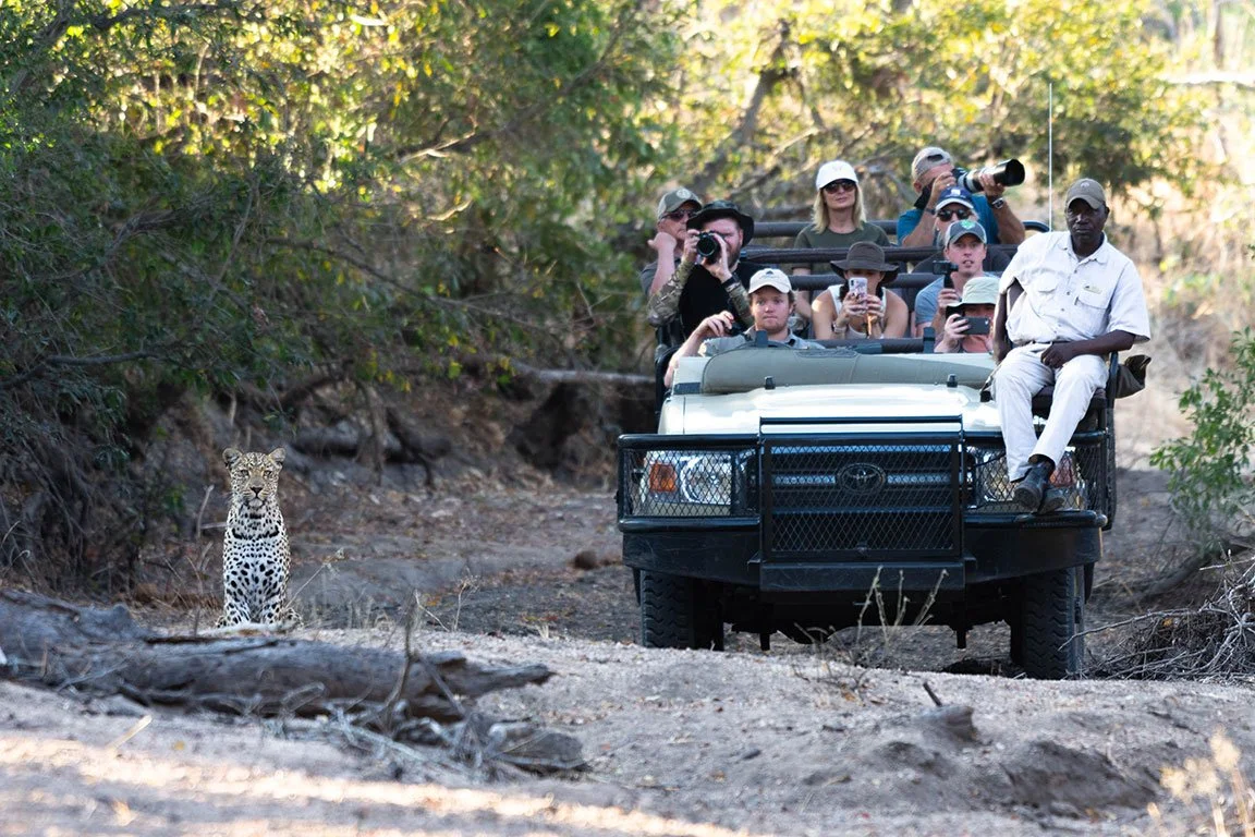 Leopard and Game Drive vehicle EP.jpg