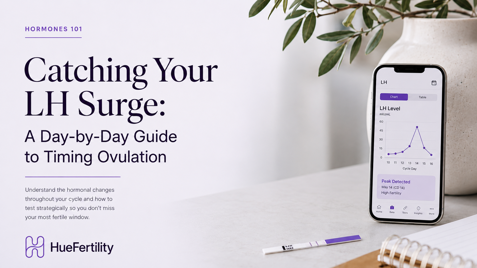 Catching Your LH Surge: A Day-by-Day Guide to Timing Ovulation