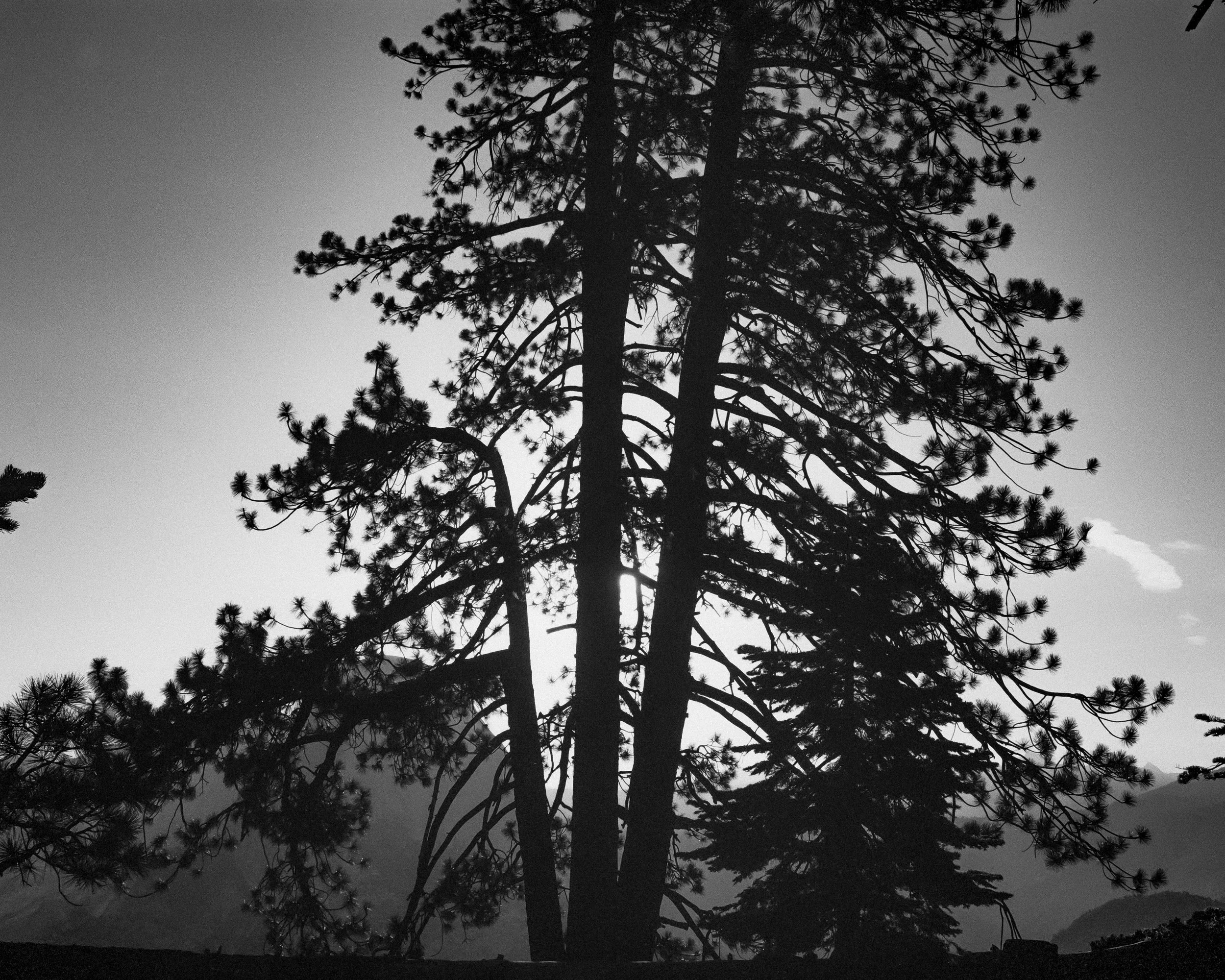 DSC_5808-Edit.jpg