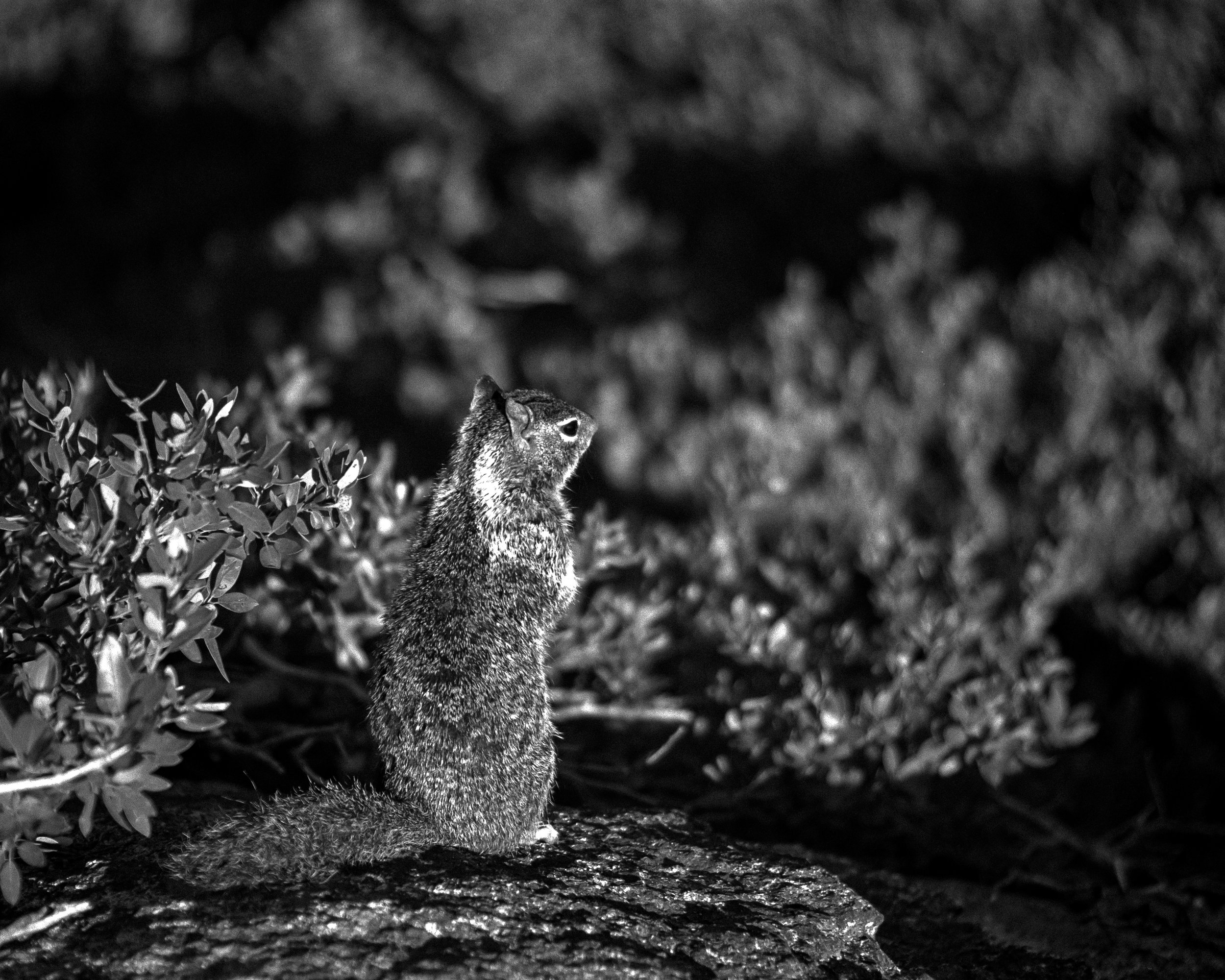 DSC_5827-Edit.jpg