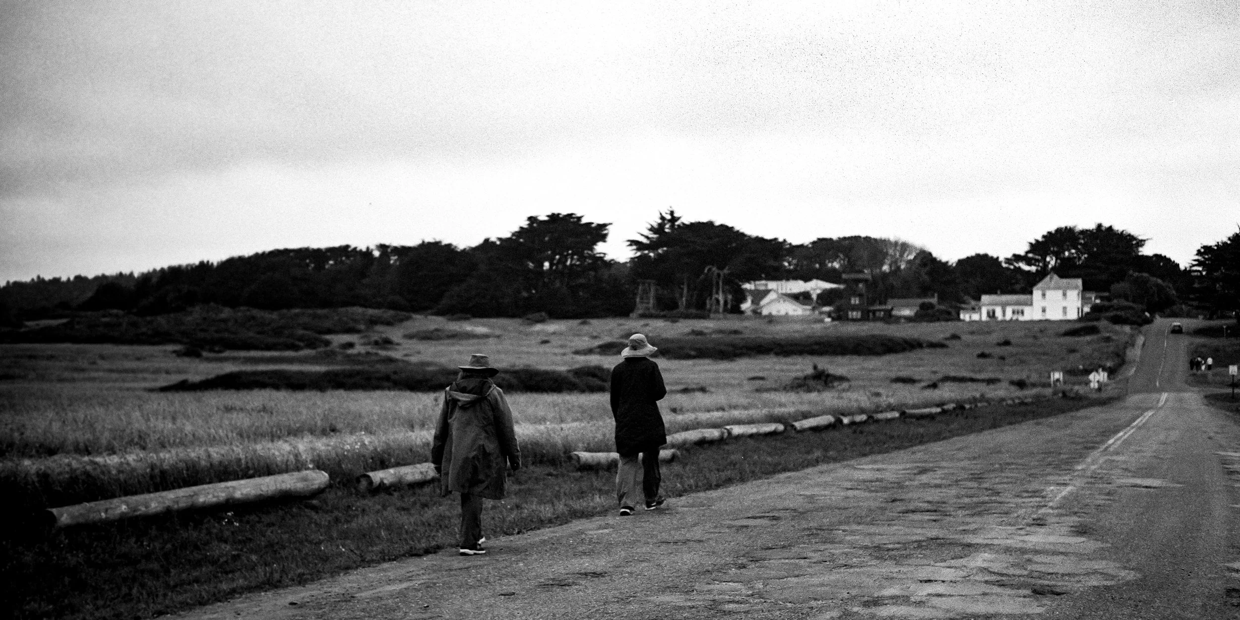 DSC_5255-Edit.jpg