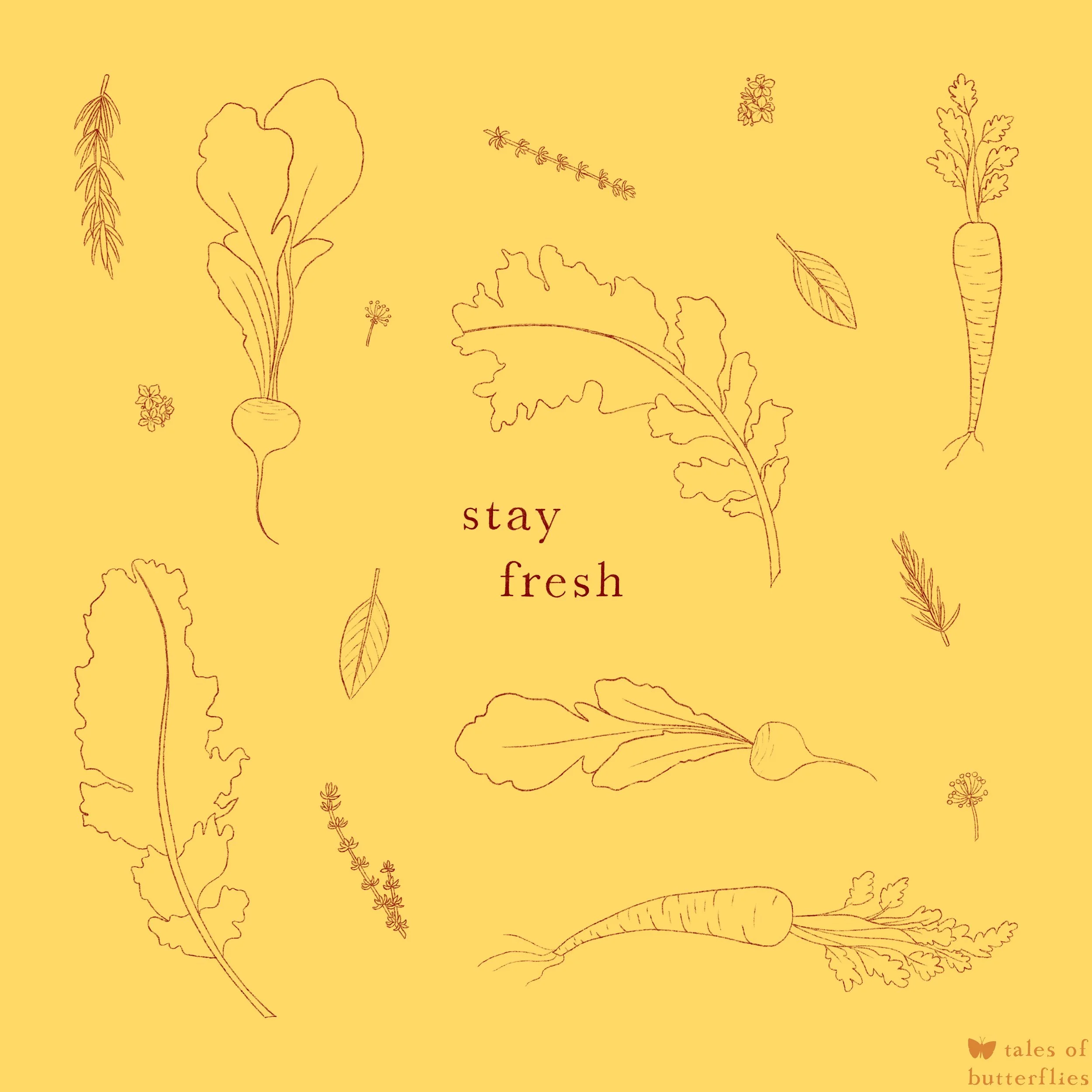 “stay fresh” handlettering and surface design