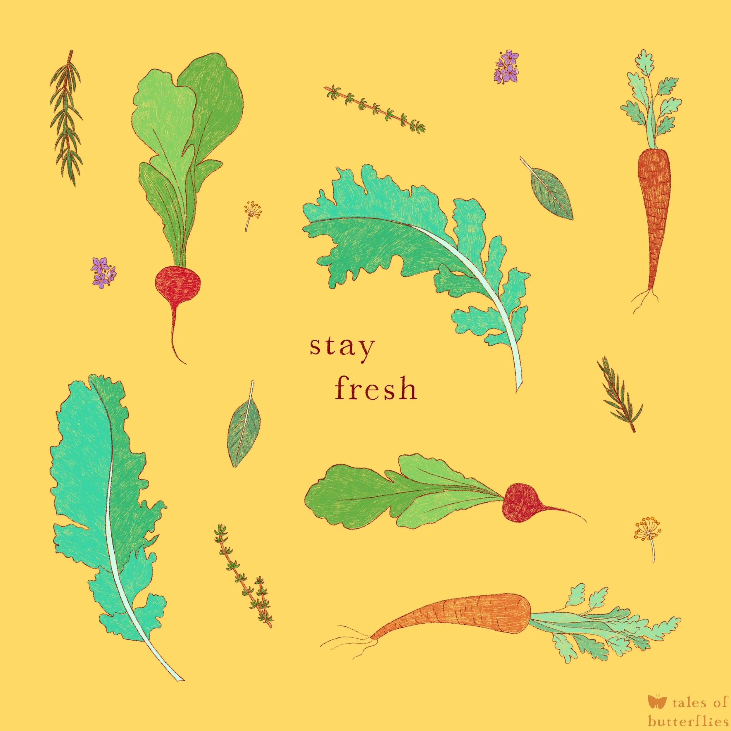 Full color version of illustration of various vegetable and herbs, carrots, radishes, kale, dill, rosemary, around the words "stay fresh" in lowercase serif.
