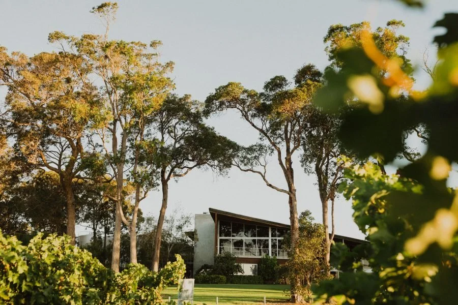 hpw-winery-900x600.jpg
