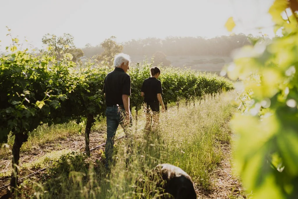 TalismanWines-ParisHawkenPhotography-103.jpg