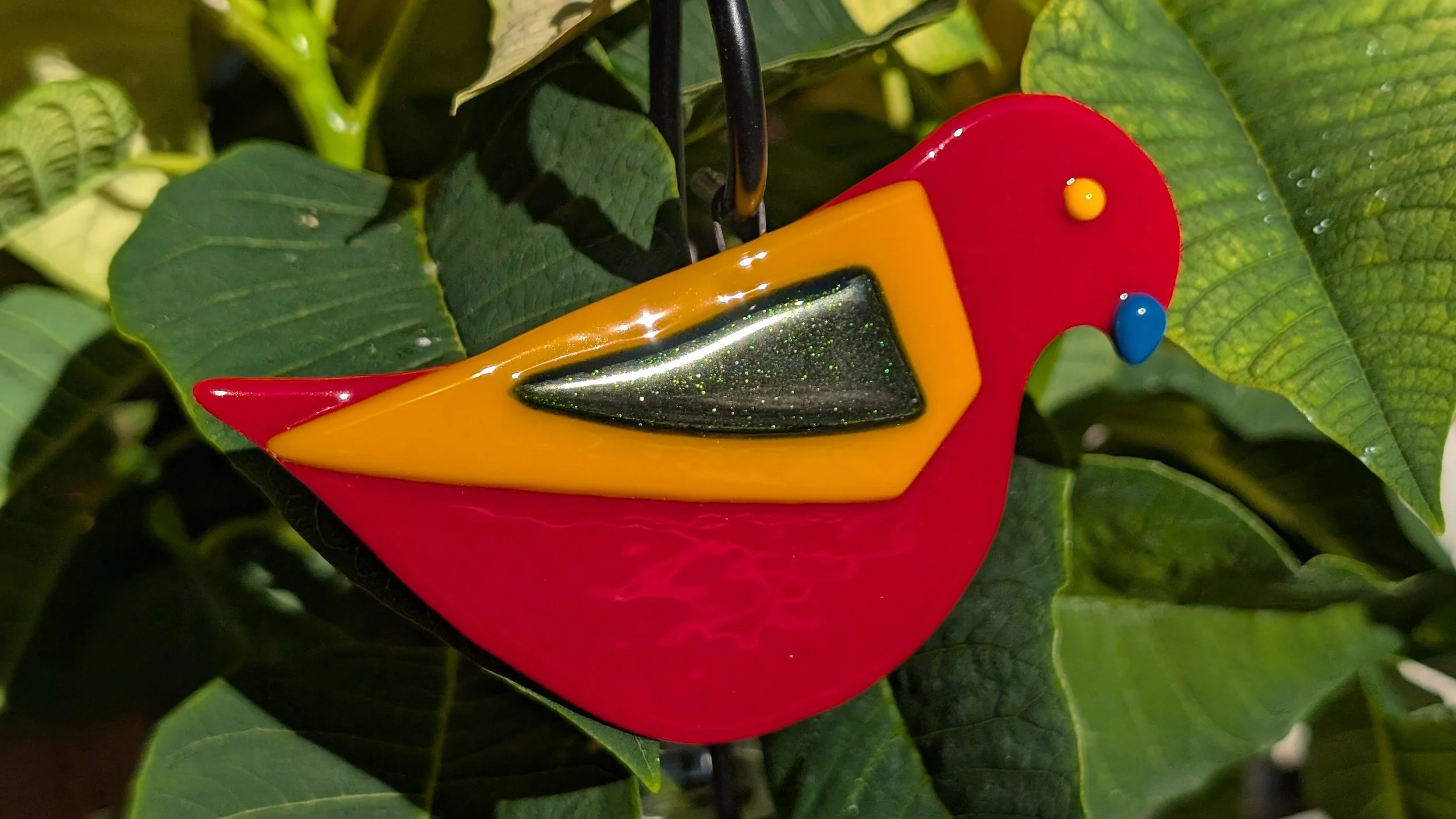 Bird4.jpg