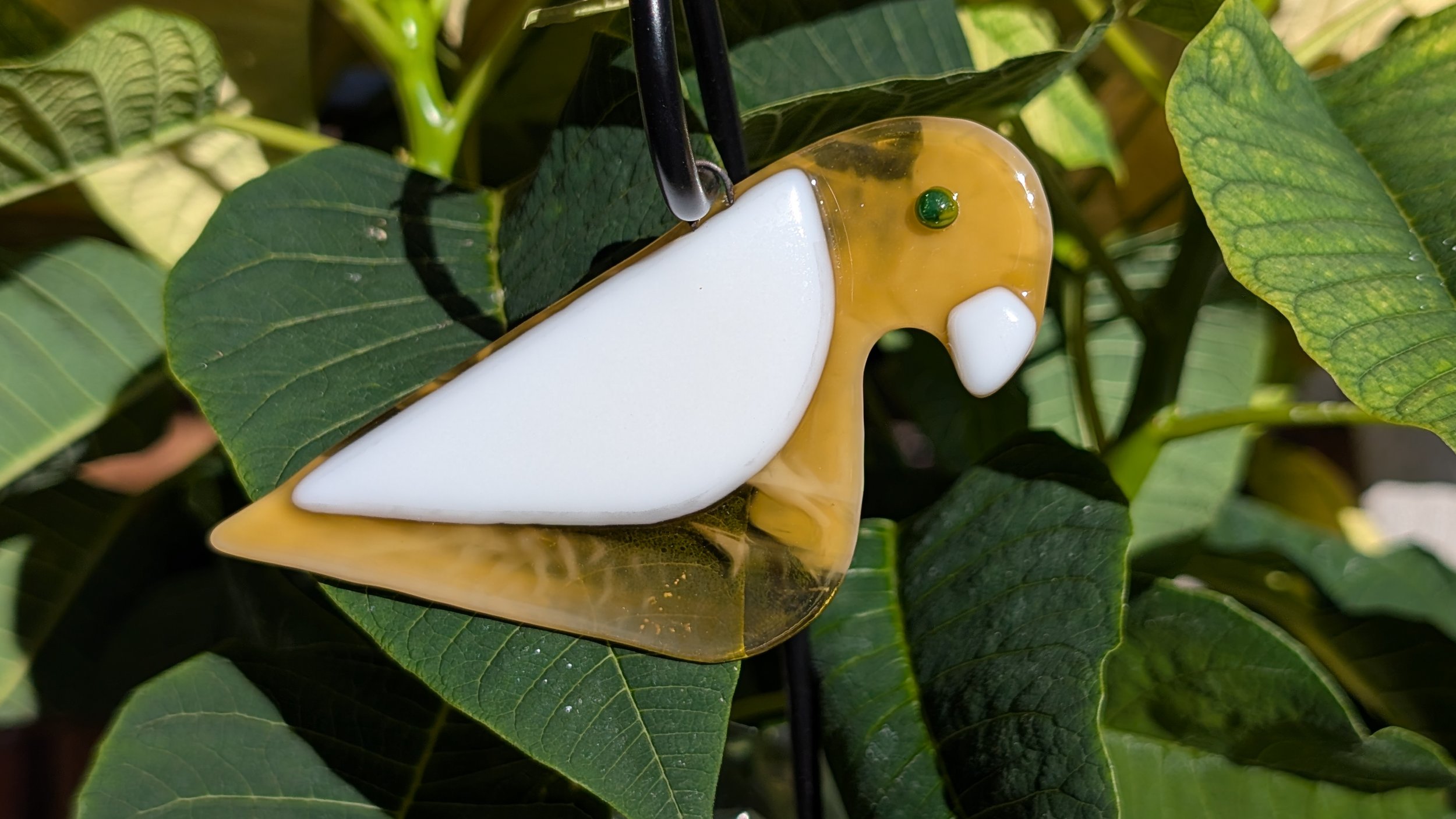 Bird5.jpg