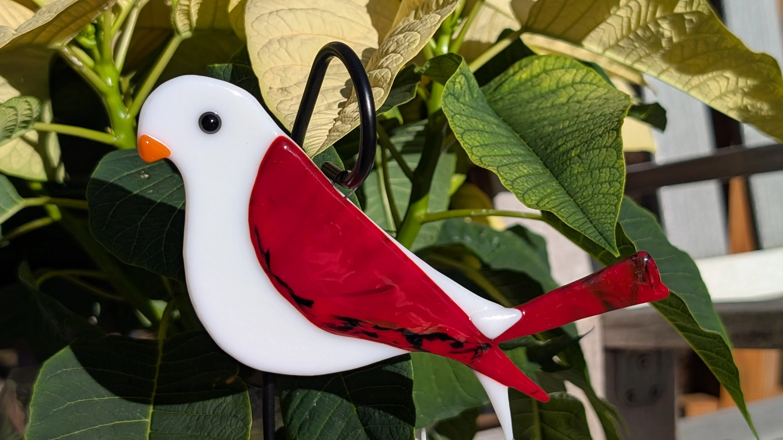 Bird1.jpg