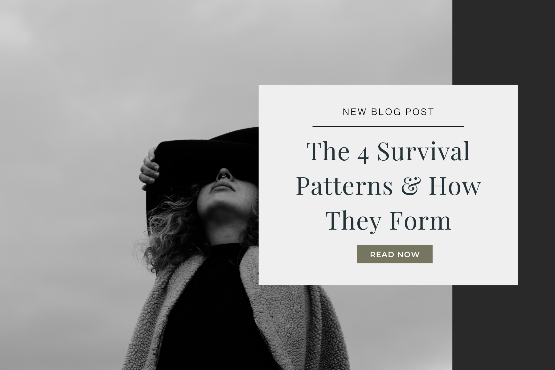 The 4 Survival Patterns and How They Form