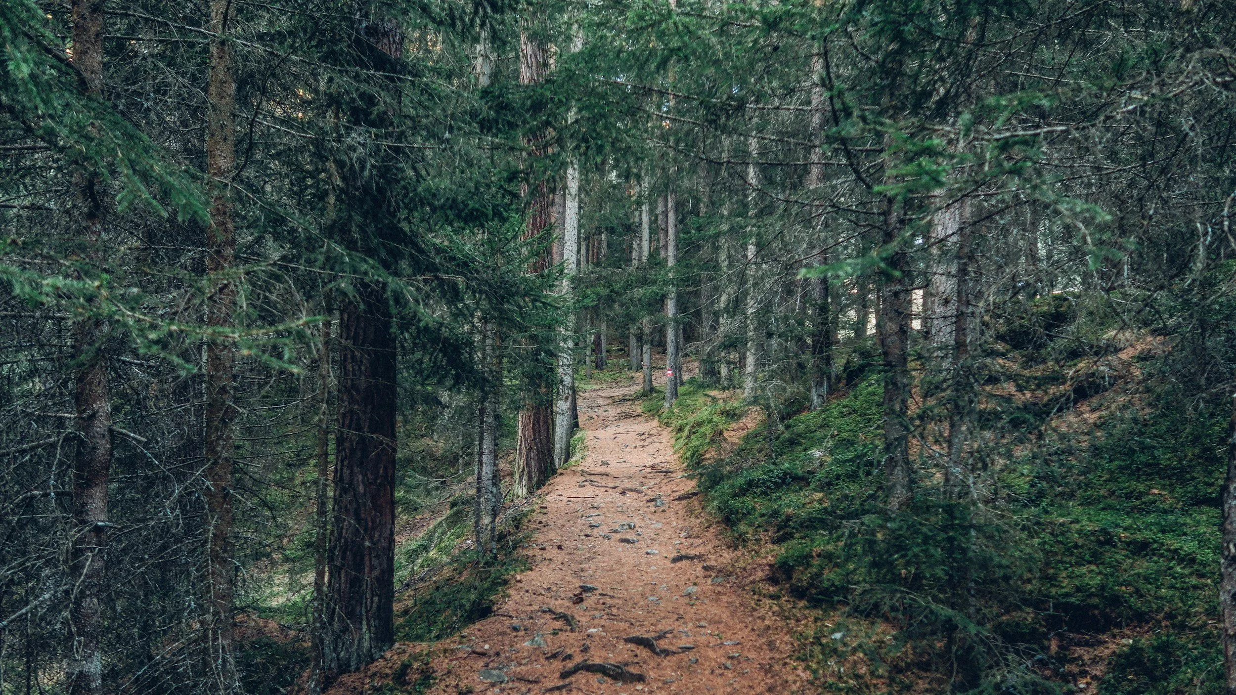 A winding looped path representing repeating emotional patterns.