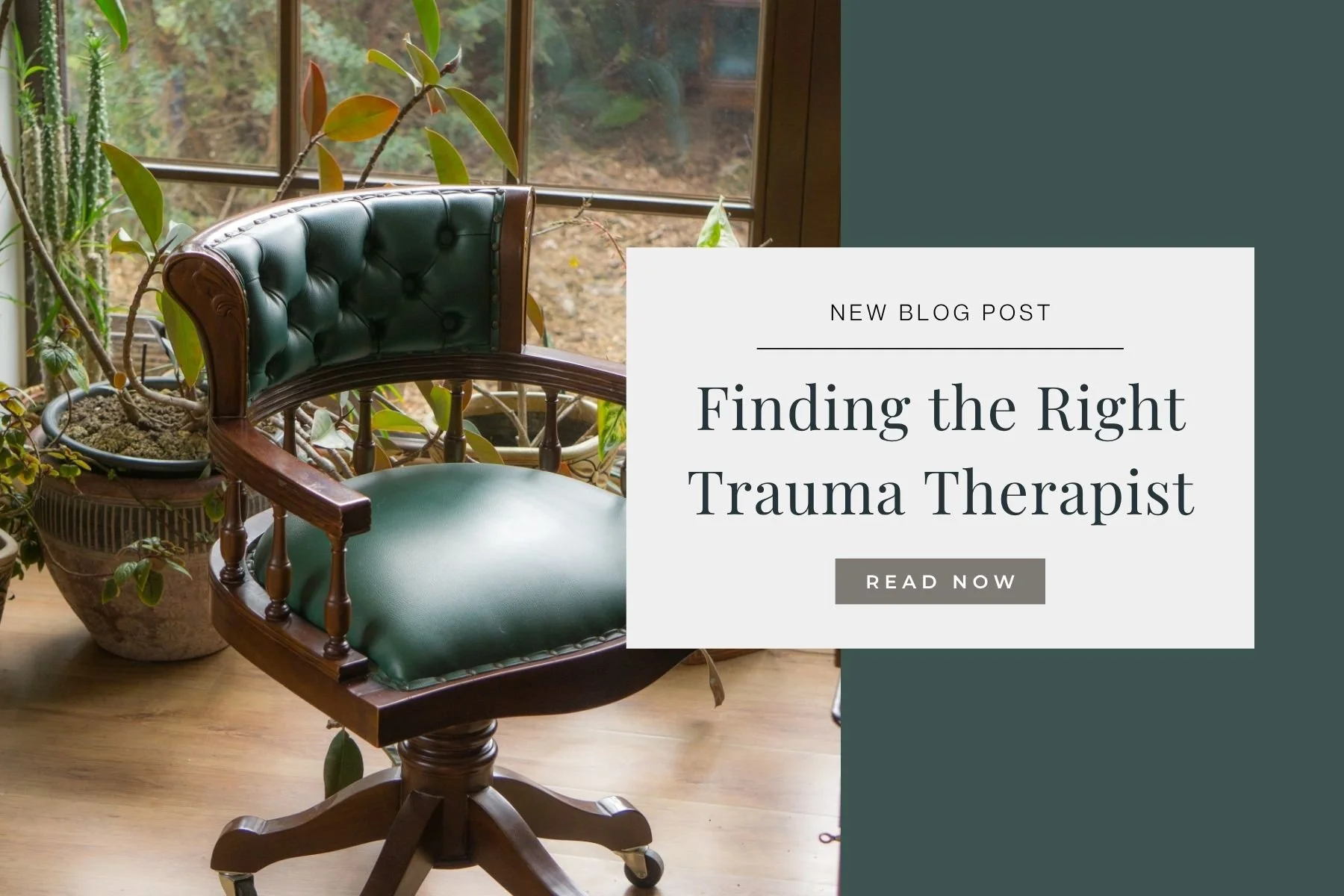 Finding the Right Trauma Therapist in Aiken, SC