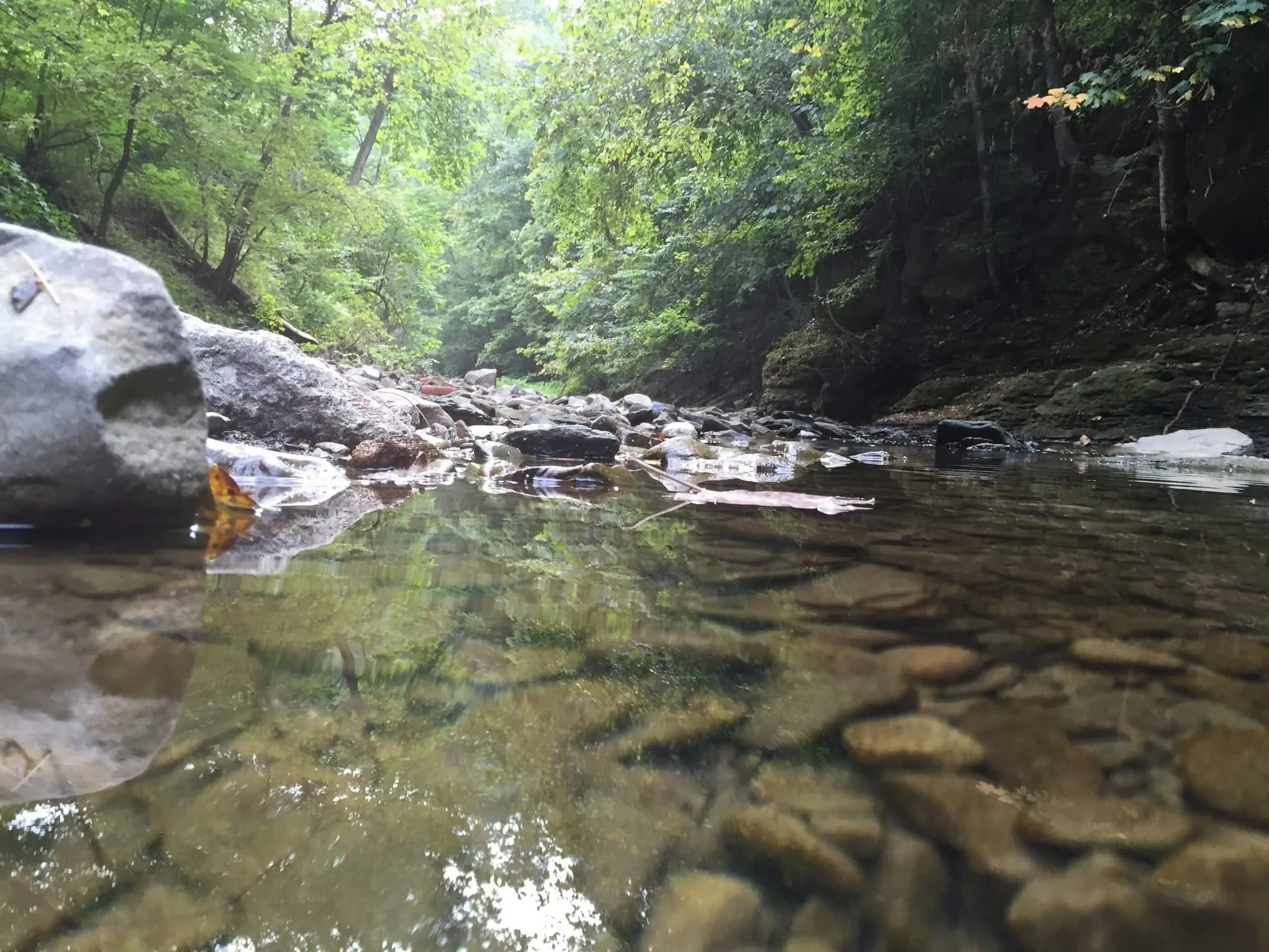 Fall Stream Cleanup