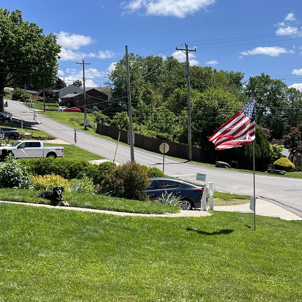 Renew Stars and Stripes Over Shannon Subscription