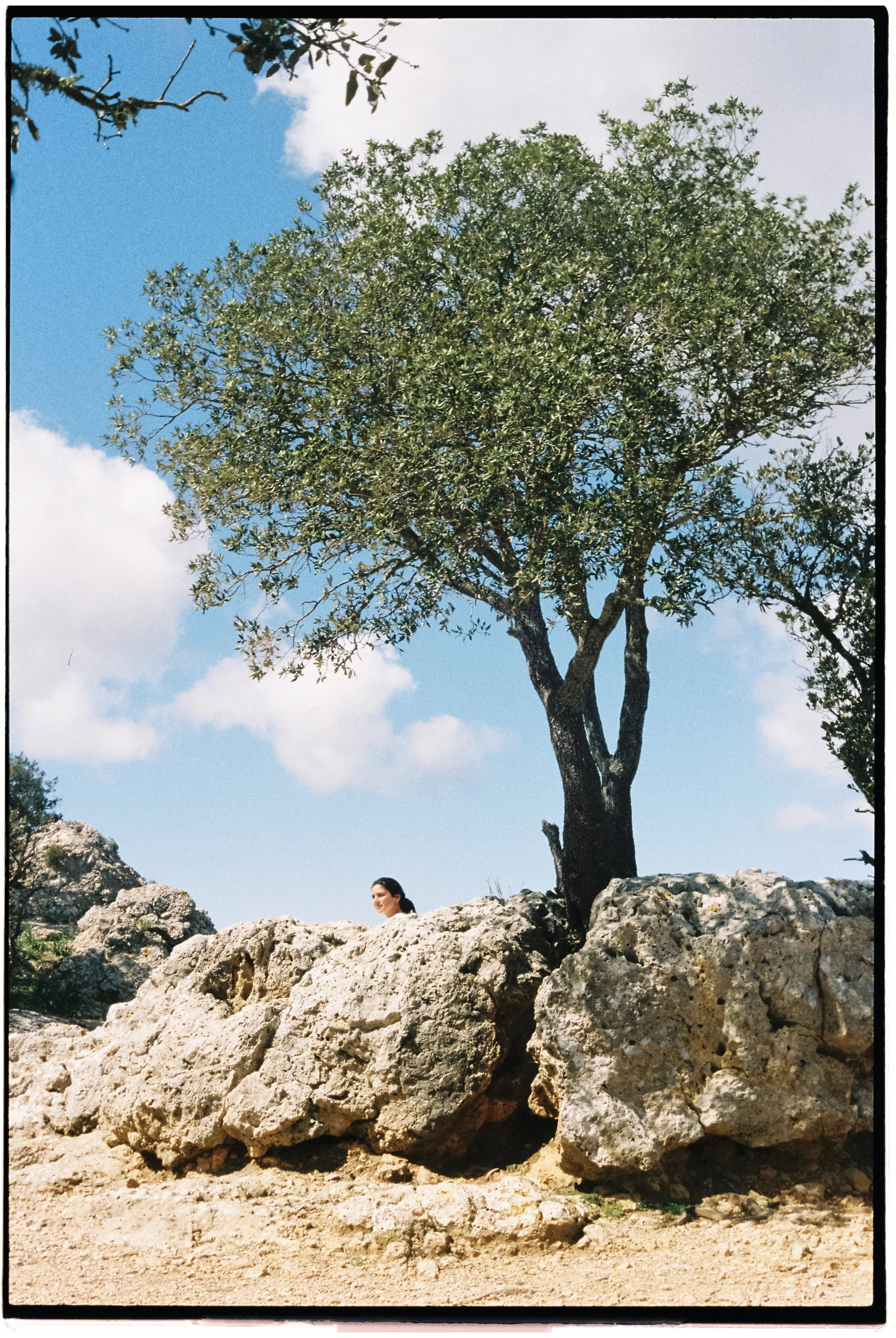 A woman under ollive tree. EMMELINE SCHEMBRI LIVE IN MALLORCA