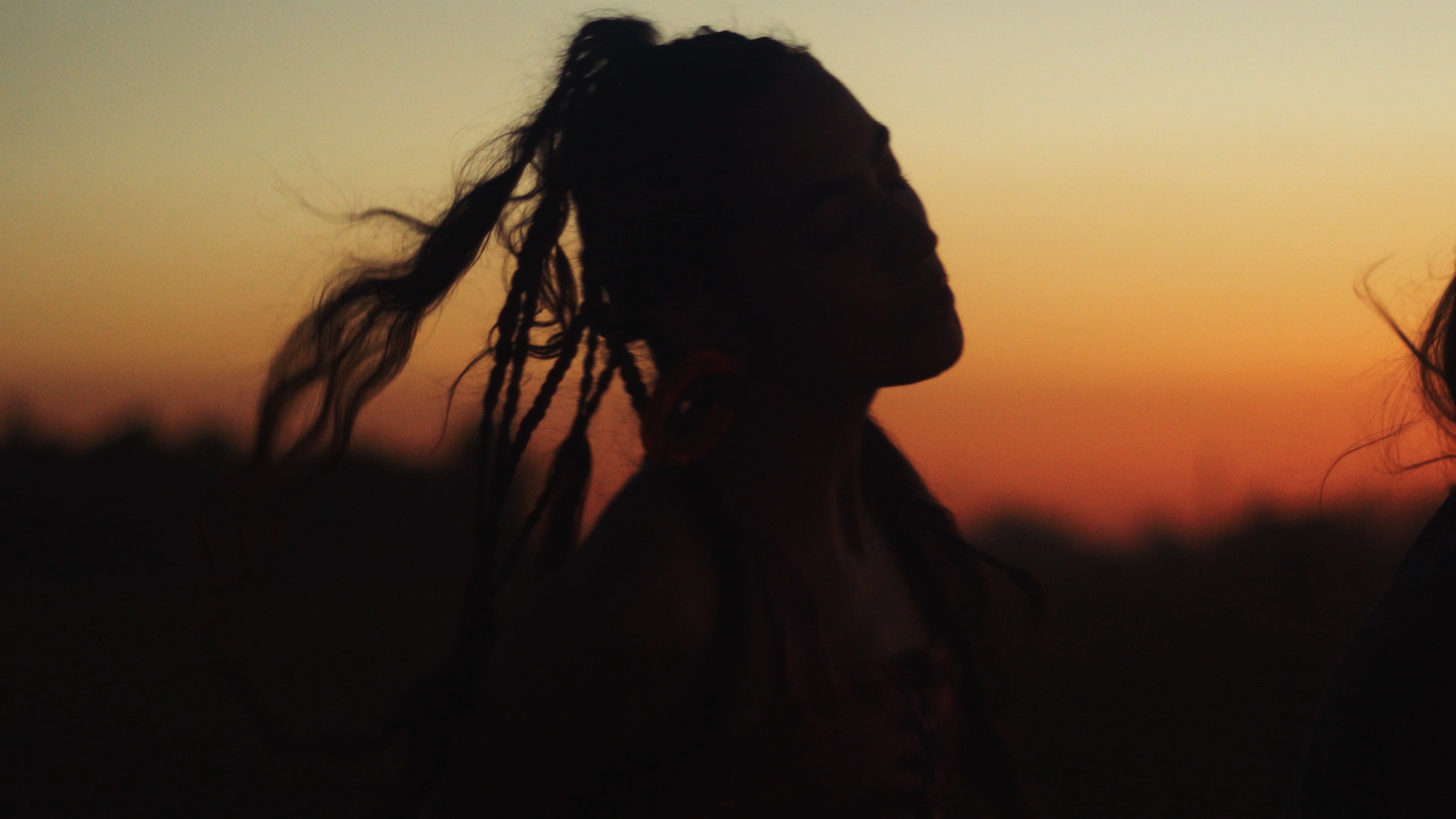 Silhouette of a woman with dreadlocks against a sunset sky.