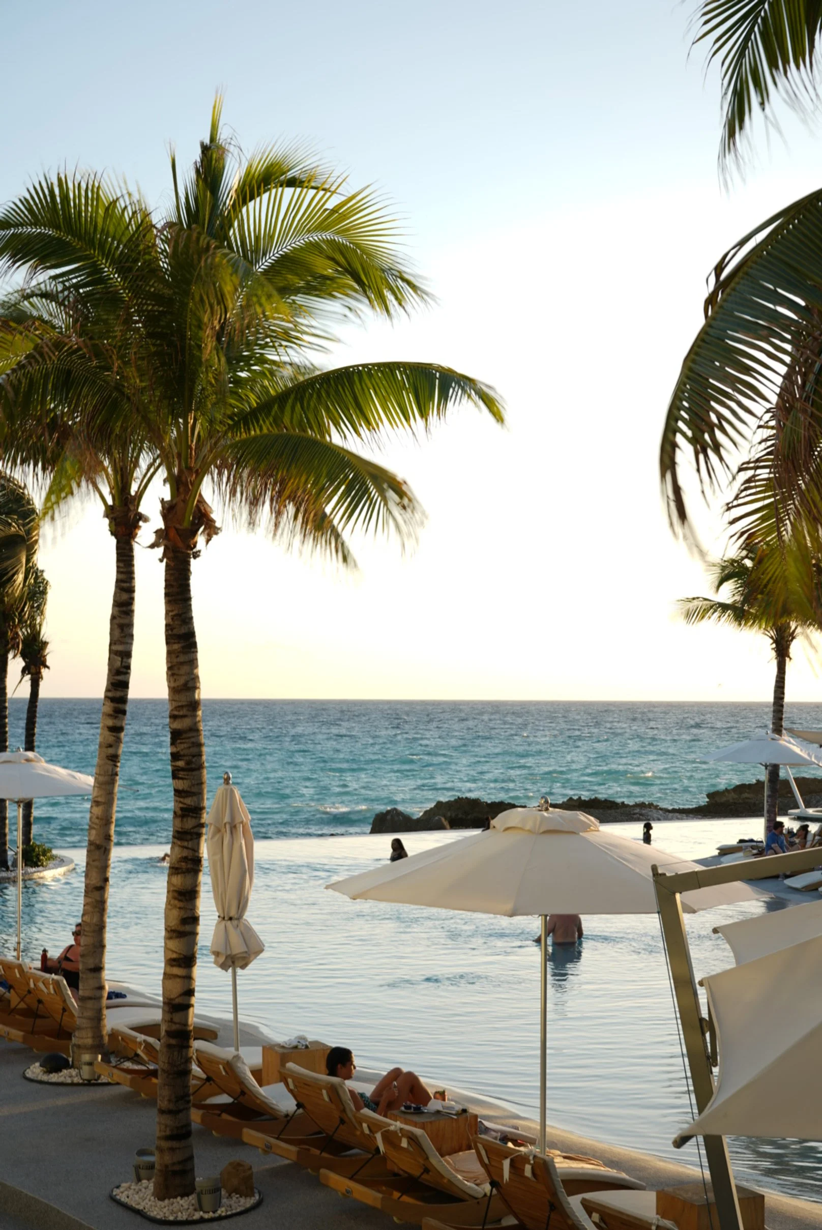 A tropical beach scene with palm trees, an ocean, sun umbrellas, lounge chairs, and people relaxing and swimming.