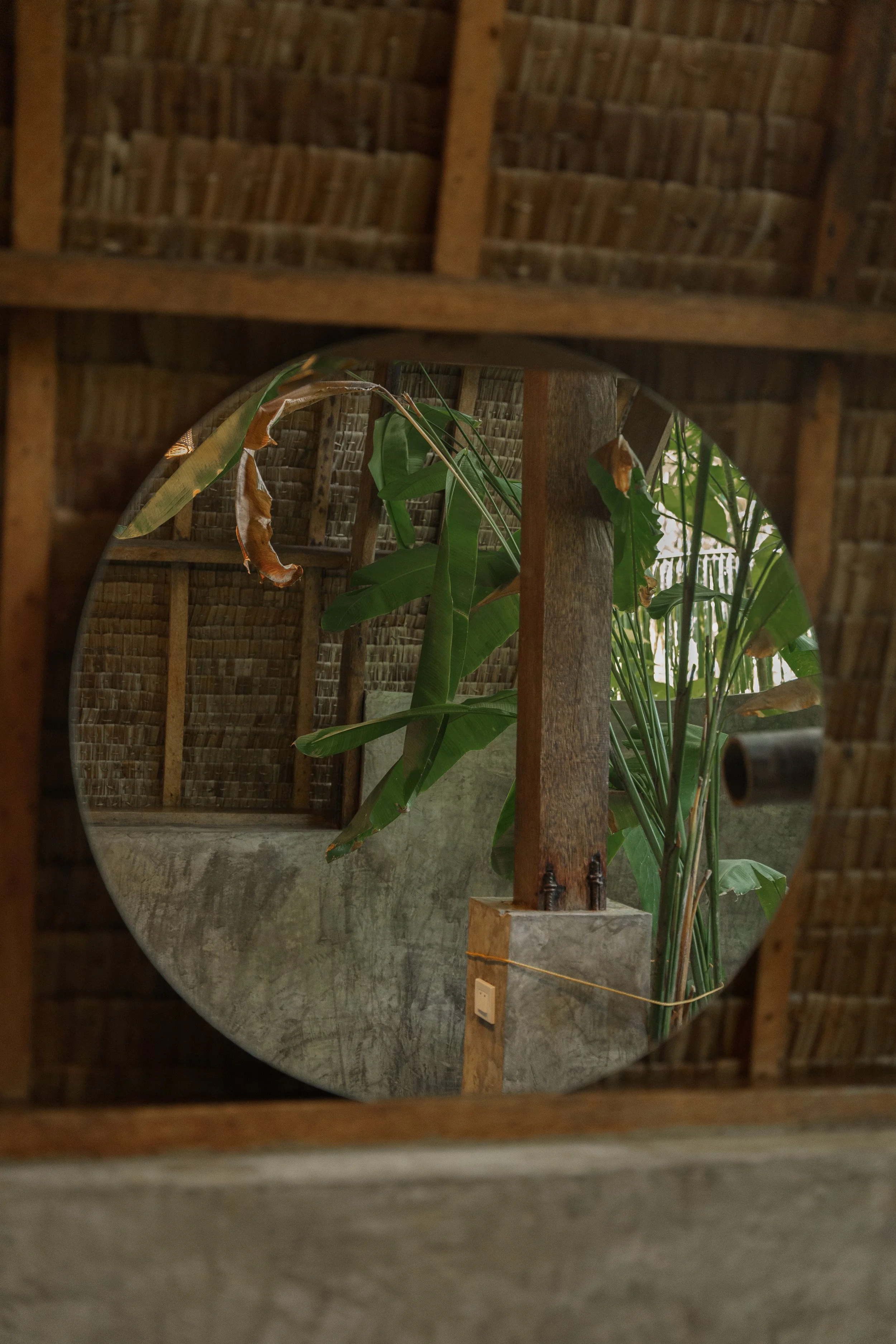 Reflection of a tropical plant in a round mirror mounted on a bamboo and stone wall.