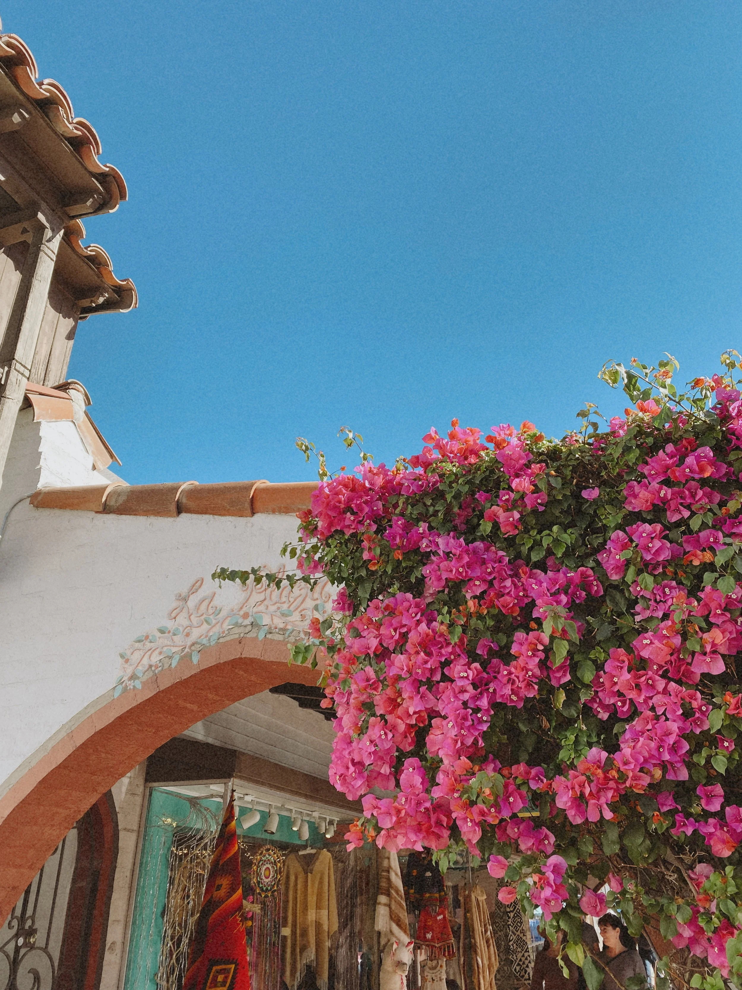 Bright pink bougainvillea flowers hanging above a white building with an arched doorway, a storefront with clothing and textiles, and a clear blue sky.