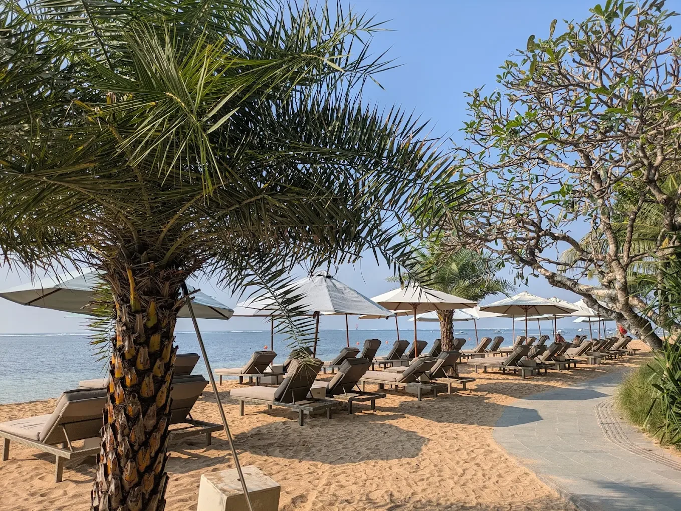 Beach with lounge chairs and umbrellas by the ocean, surrounded by palm trees and a paved walkway.