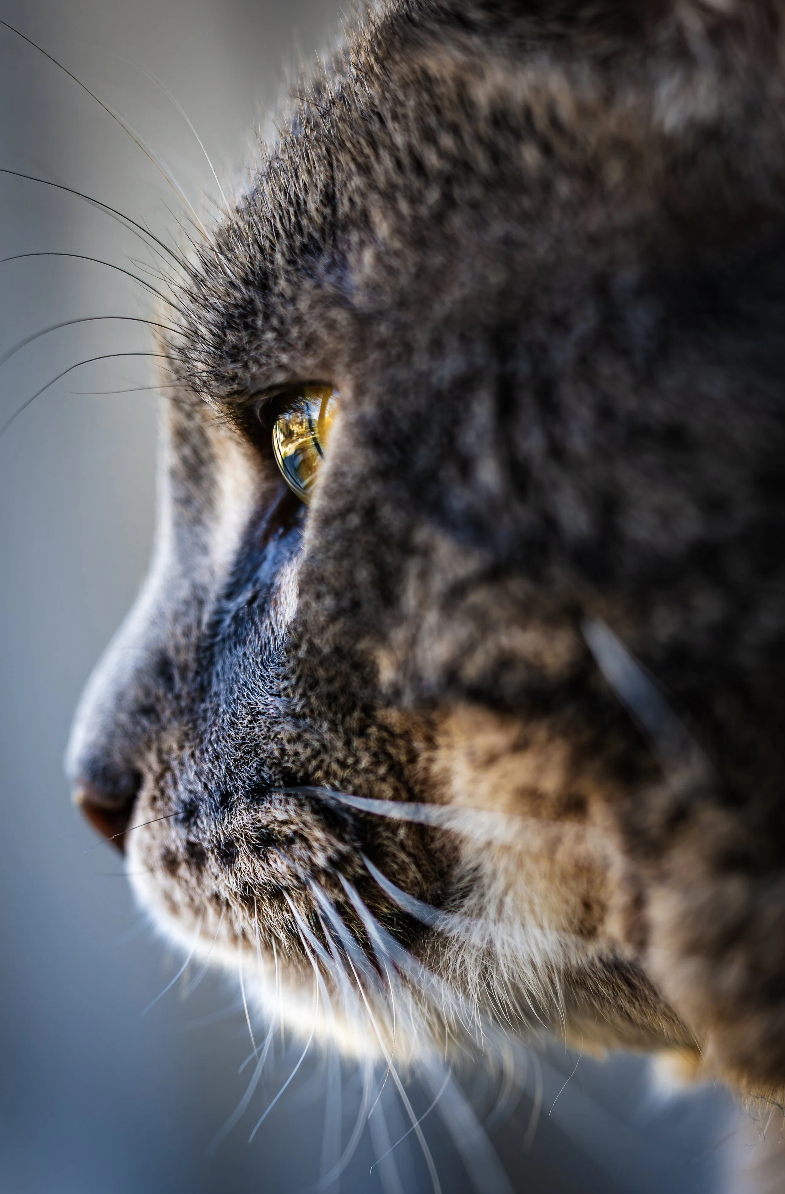 F69A7466-2.jpg