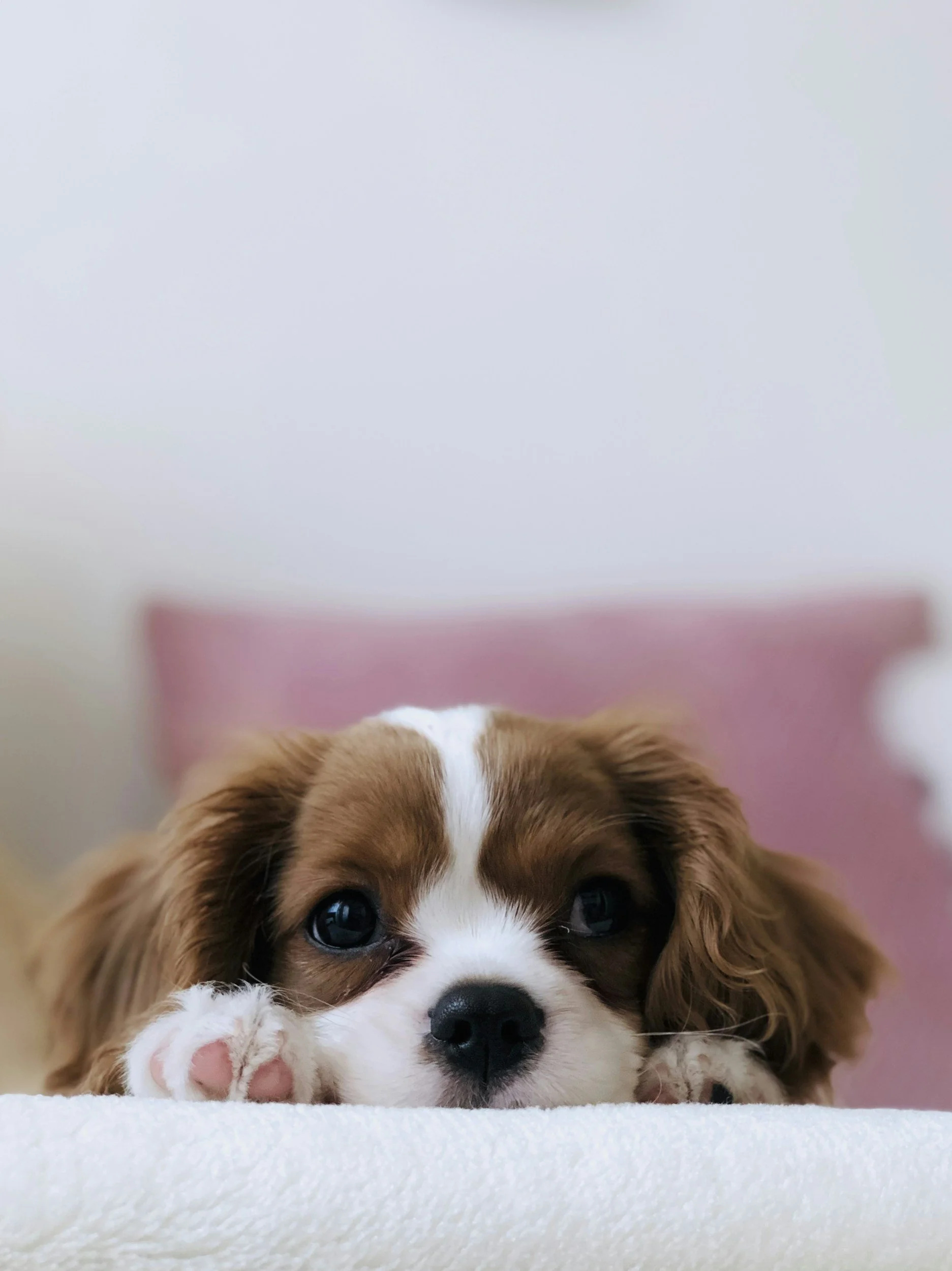 unsplash-image-TzjMd7i5WQI.jpg