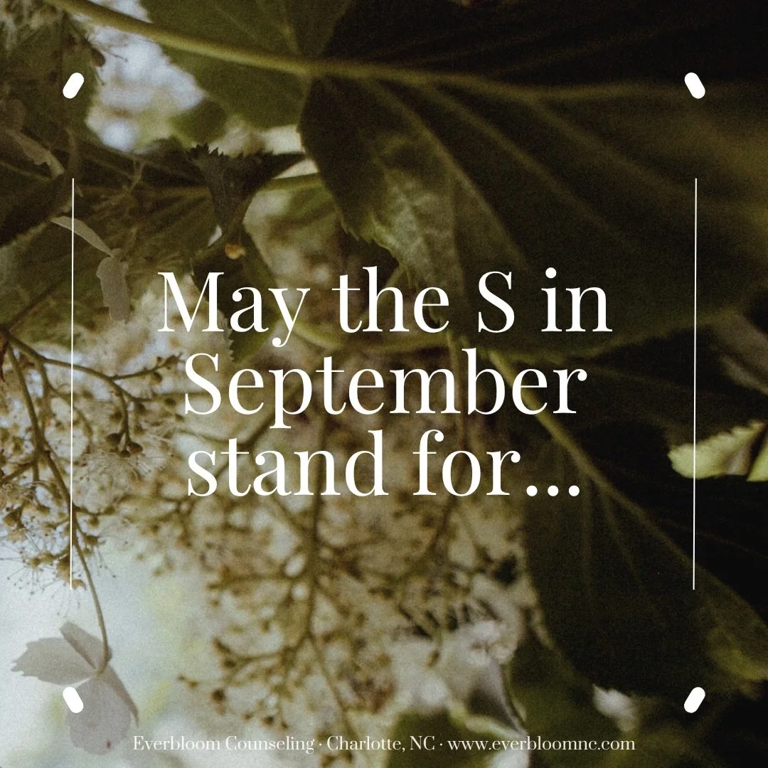 May the &lsquo;ber months bring you a sense of calm and room to begin again 🍁 

#charlottetherapist #traumatherapist #southendclt #everbloom #dilworththerapist