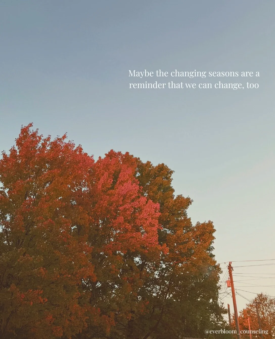 Friendly reminder: Nature doesn&rsquo;t rush its seasons. Maybe we don&rsquo;t have to rush ours, either. 🍁🤎

#charlottetherapist #traumatherapy #dilworthcharlotte #southendclt #southparkclt