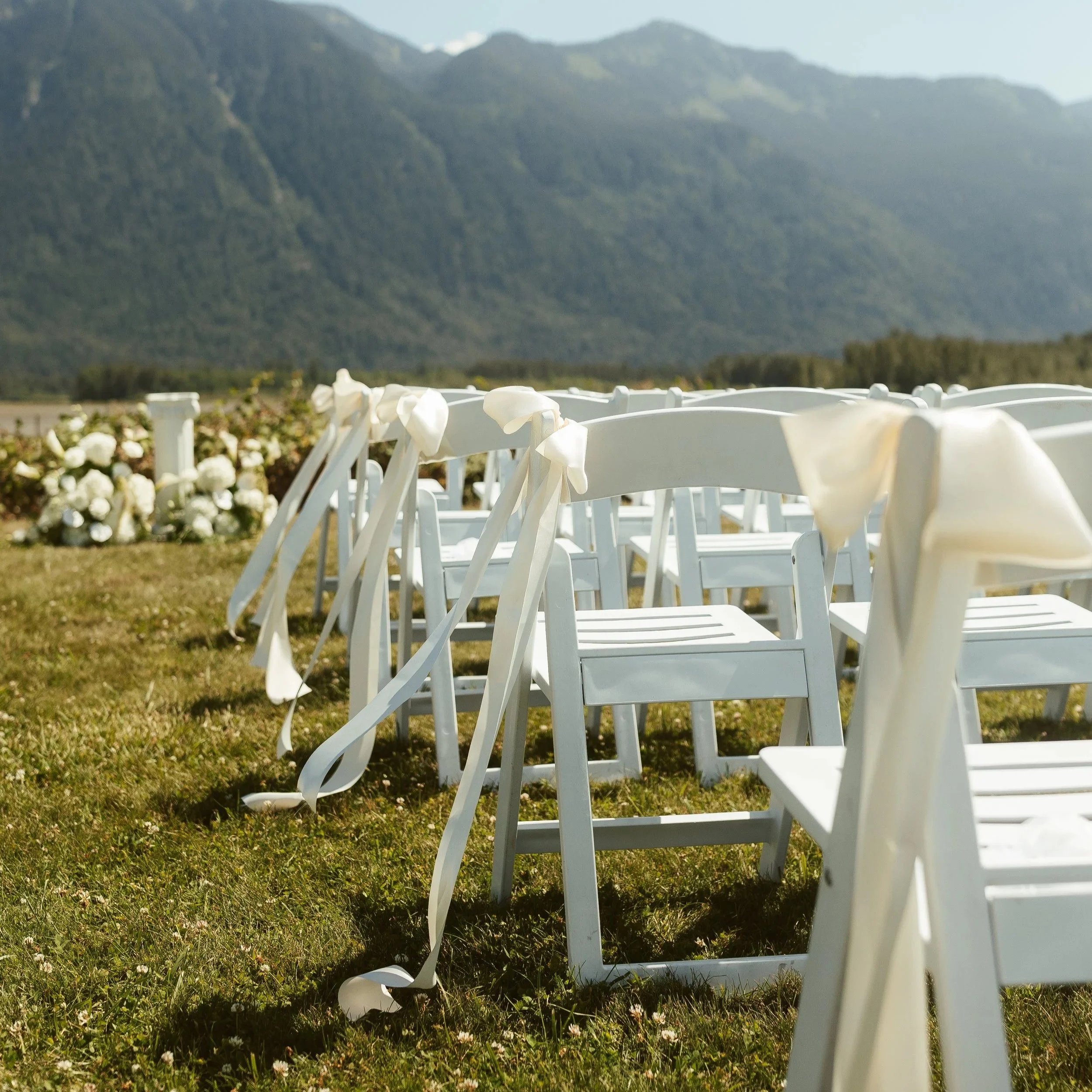 Chair Ribbon
