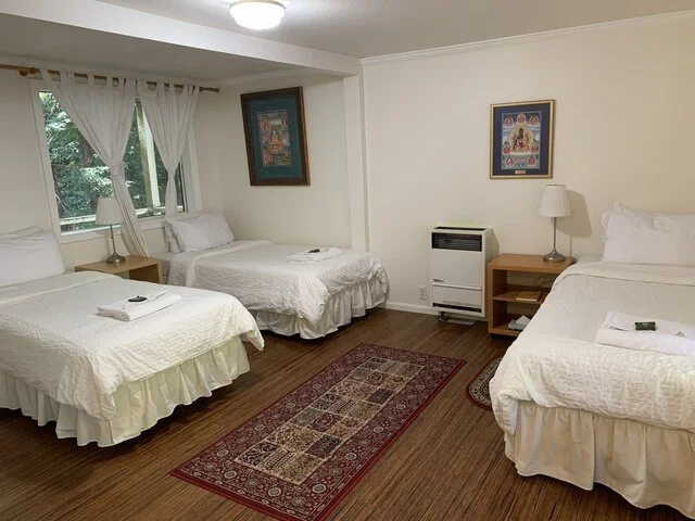 Three Twins (Copy) (Copy)