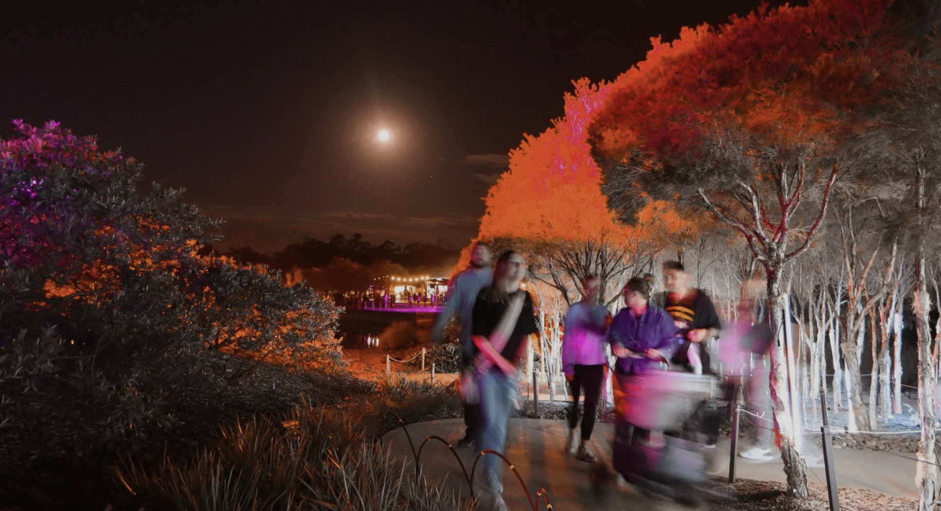 Night scene at a park with illuminated trees and a full moon, featuring blurred people walking along a pathway.