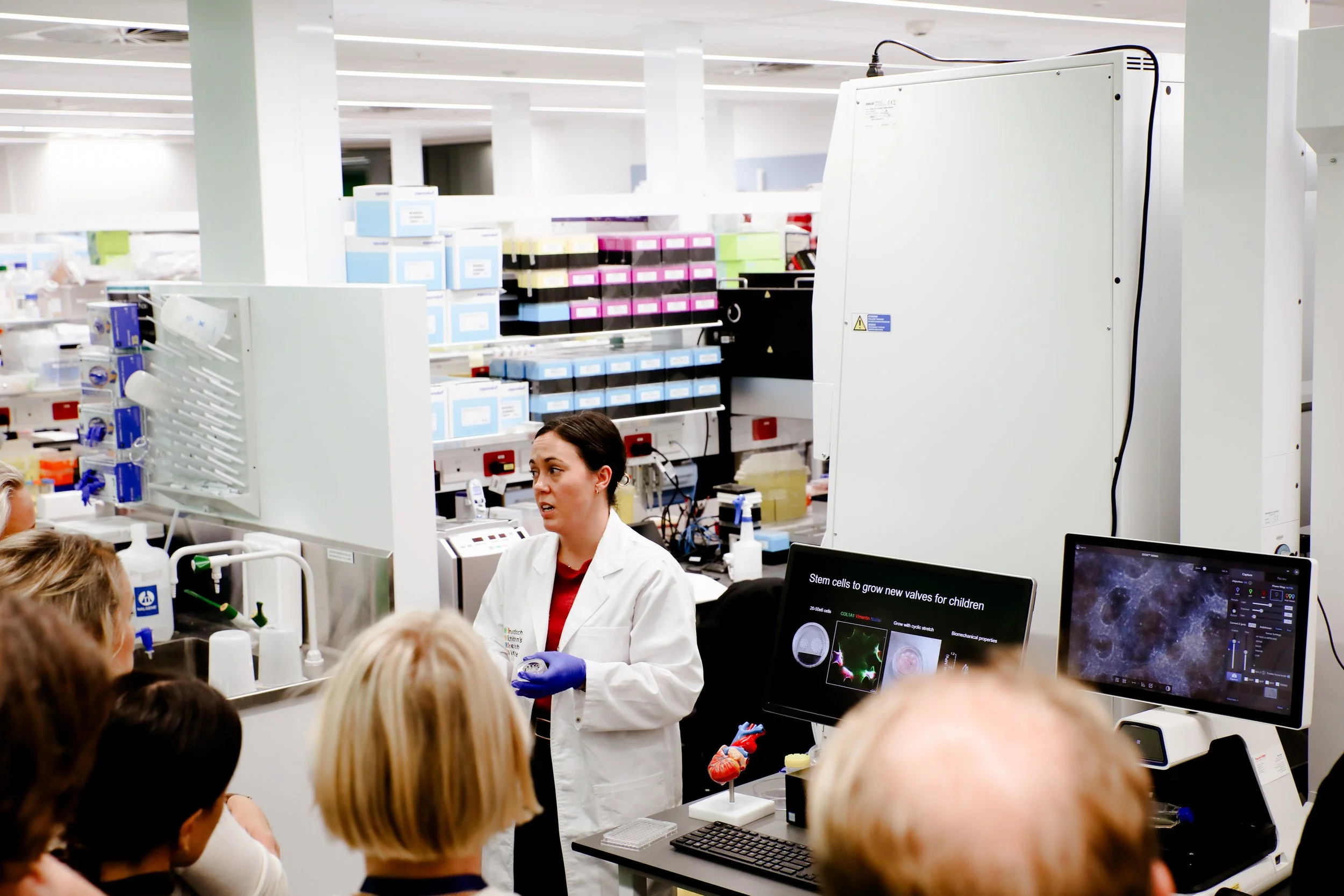 TOMMY - MCRI-092.jpg