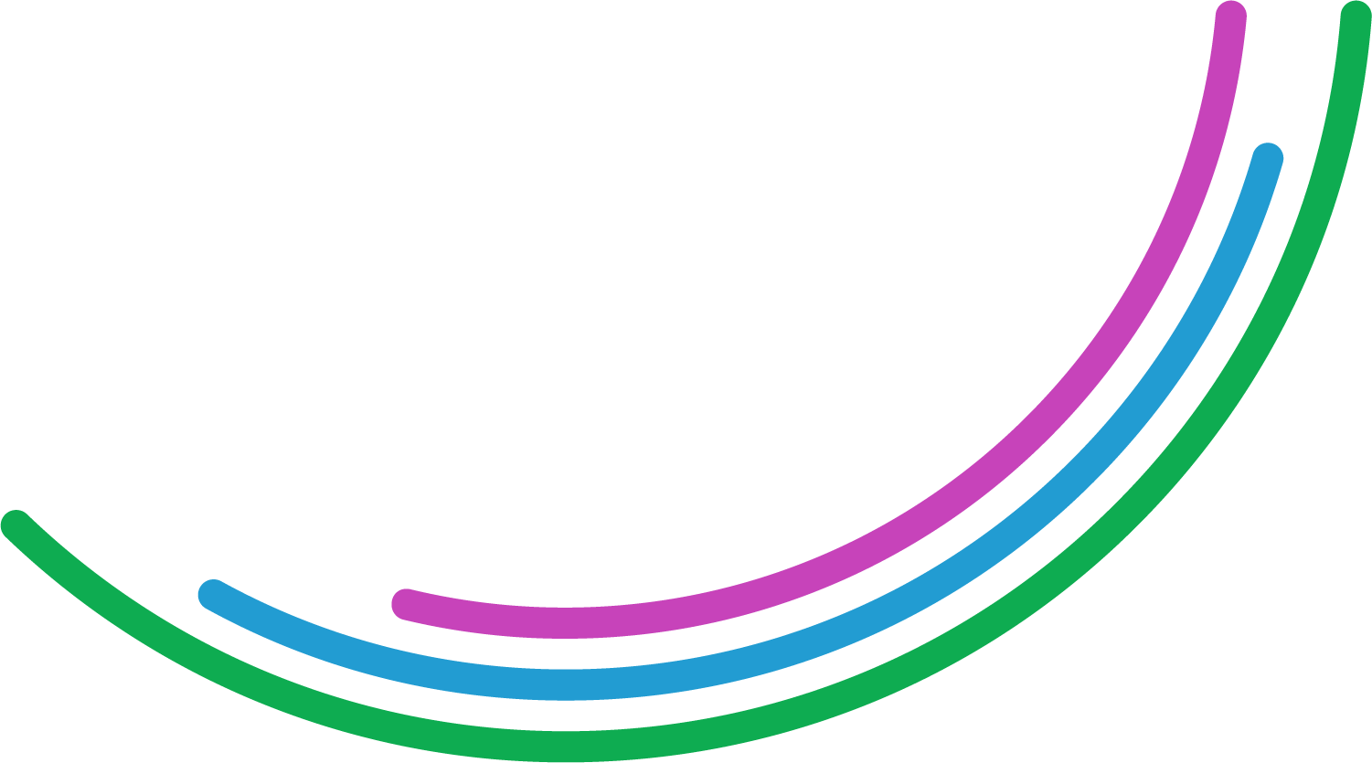 Colorful curved lines in purple, blue, and green, with the BOLD organization logo and the text "Building Opportunities to Lead Development".