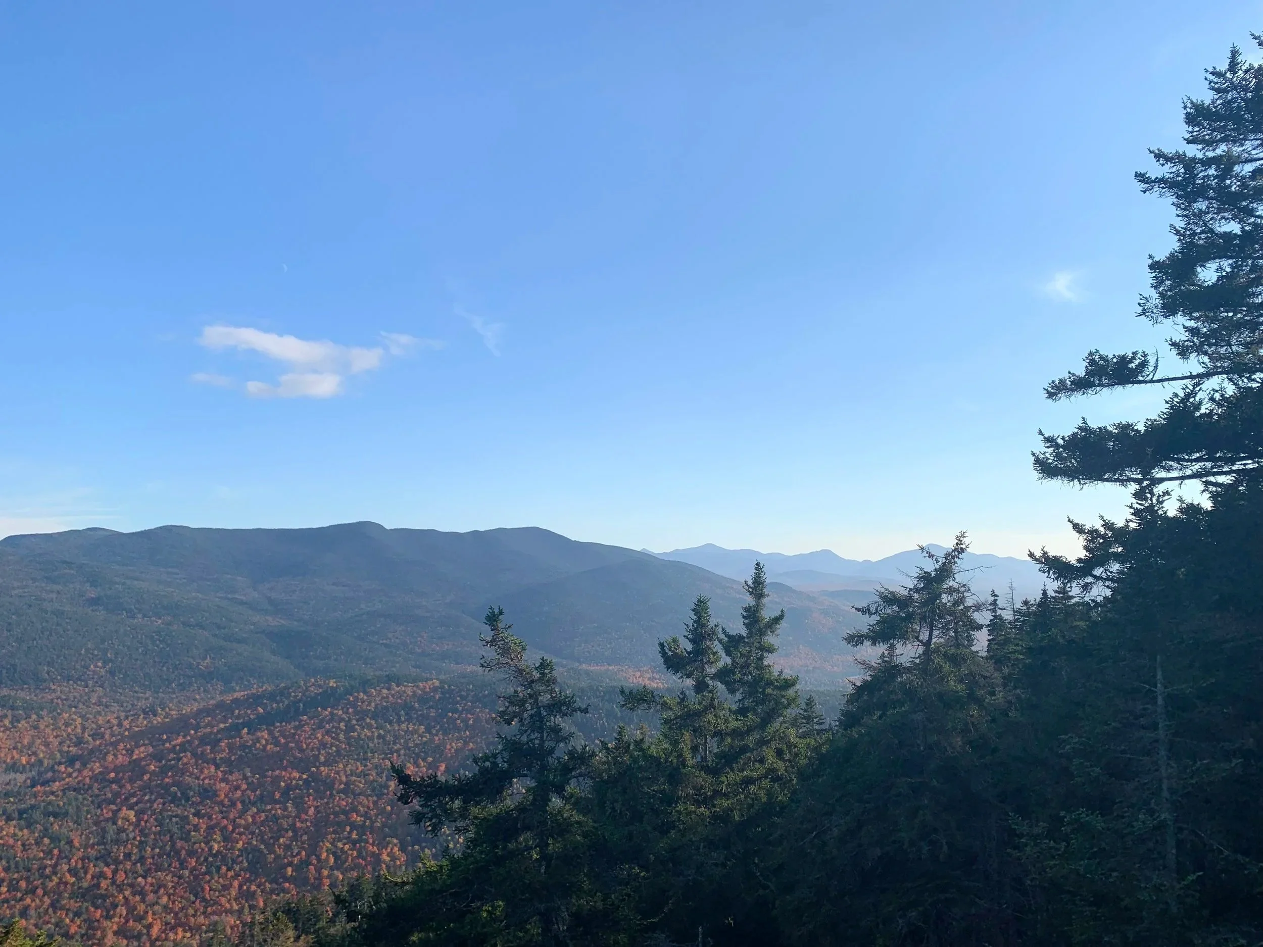 A scenic view of distant mountain ranges under a clear blue sky with a few scattered clouds, with coniferous trees in the foreground.