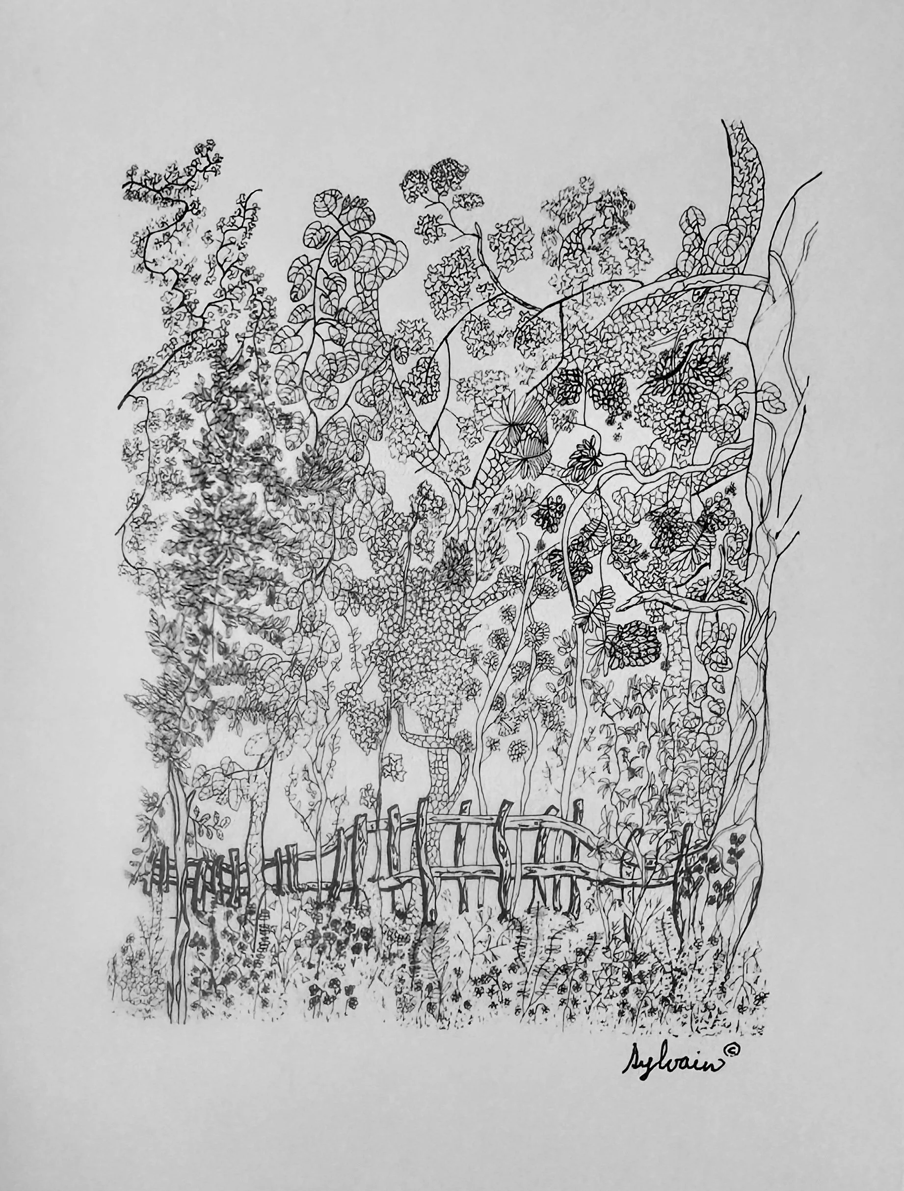 Black and White - Noir et blanc