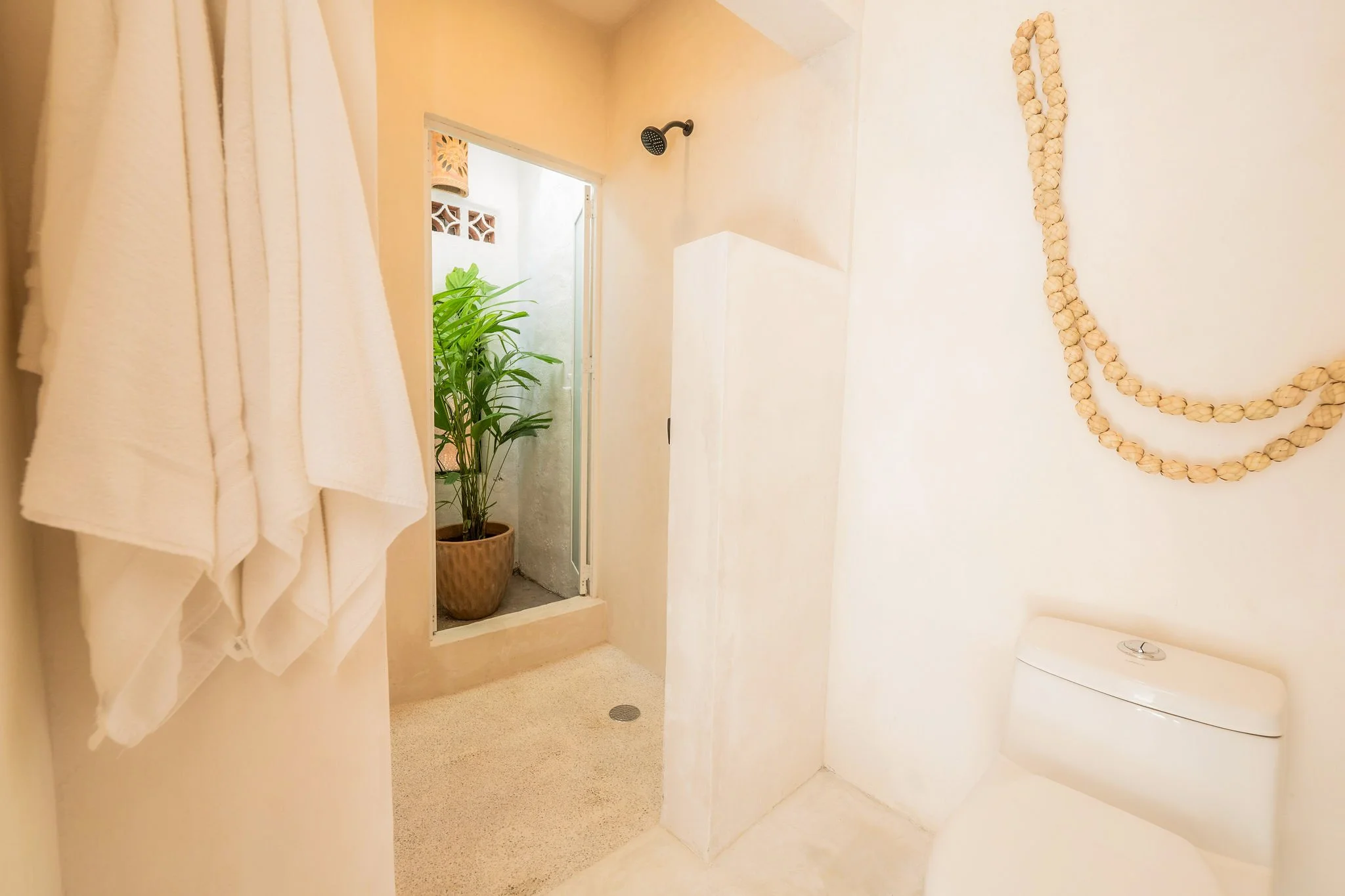 Photo 11-16-25, 11 17 48 AM.jpg