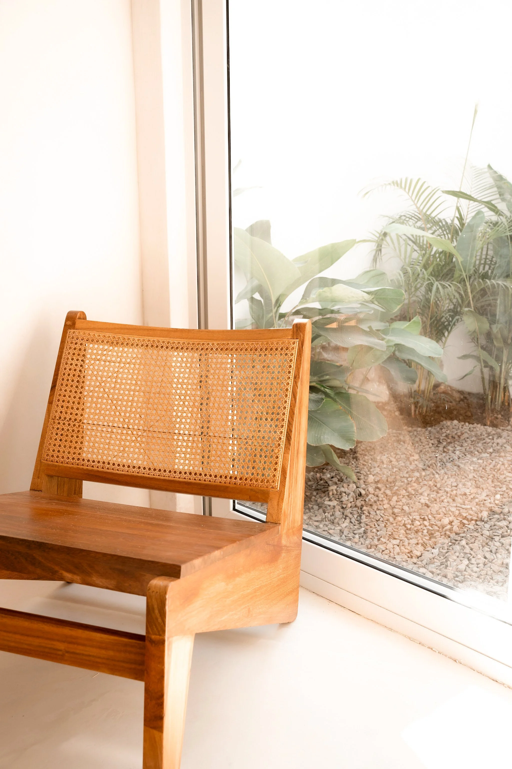 Photo 11-16-25, 11 22 32 AM.jpg