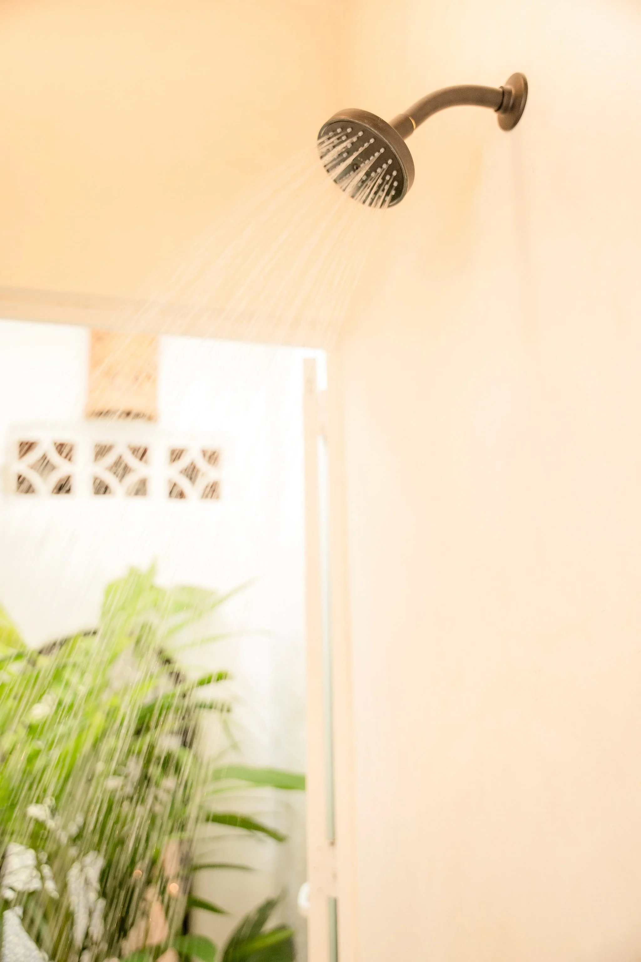 Photo 11-16-25, 11 28 01 AM.jpg