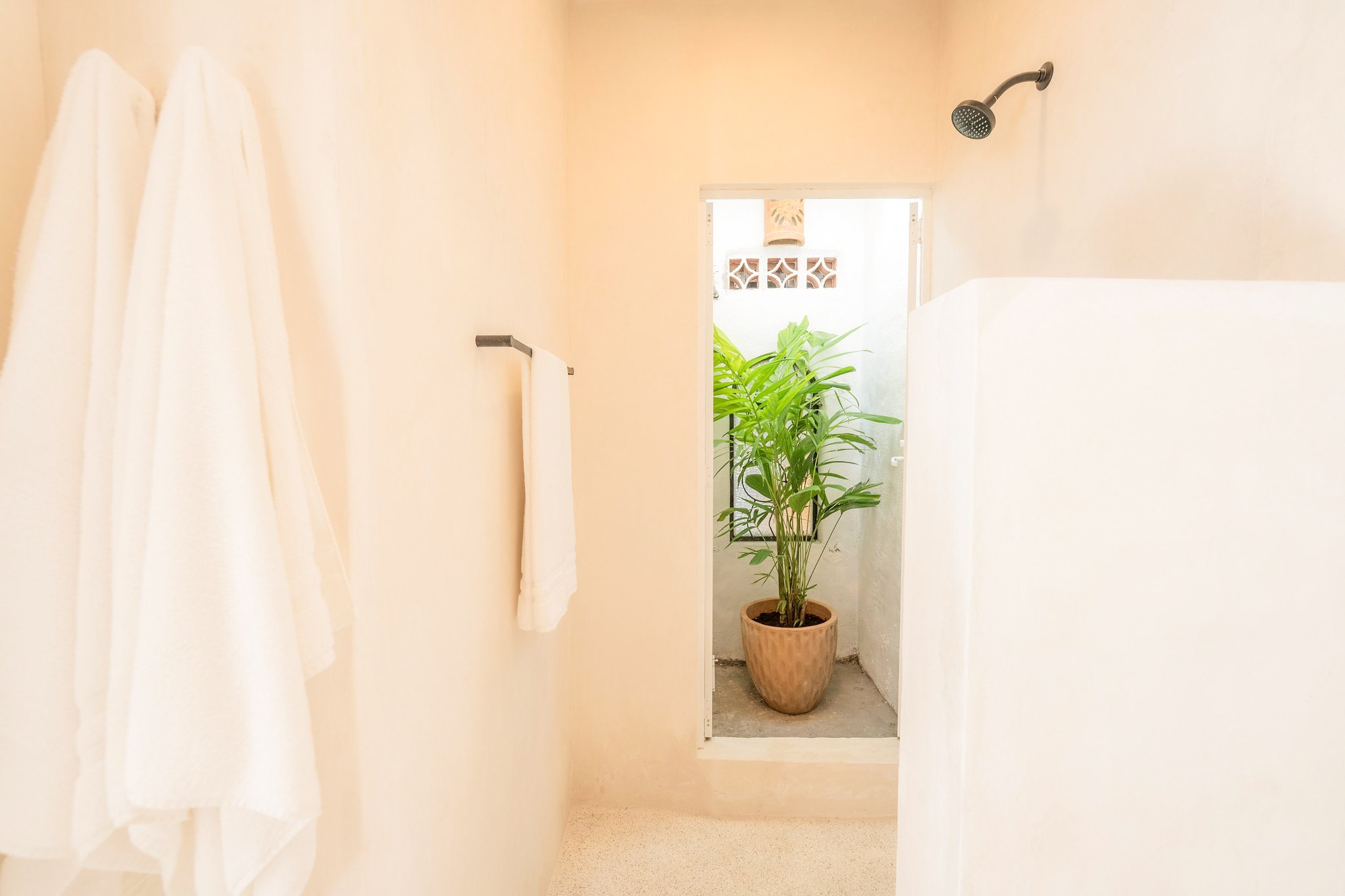 Photo 11-16-25, 11 18 00 AM.jpg